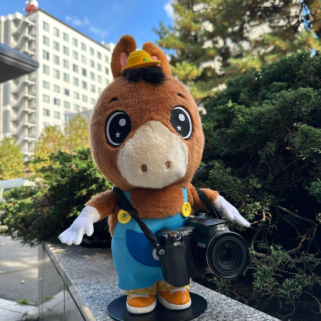 札幌テレビ放送のインスタグラム：「あさってほうそうの みんなの動物園ではほっかいどうで えぞしまりすをさつえいする どうぶつかめらまんさんが でてくるんだって🐿️✨  📸🐶+----+----+----+----+----+----+----   📺11月4日(土)よる7時   嗚呼！！みんなの動物園　2時間SP  ----+----+----+----+----+----+----+🐶📸  ぼくもとってもらえるかな...？ とられるのもきらいじゃないよ📸💓 どあっぷ🔍  #どさんこくんインスタ #どさんこくん #stv #札幌テレビ放送 #みんなの動物園 #土曜夜7時 #エゾシマリス #カメラ #カメラマン #動物園カメラマン #北海道 #Hokkaido #どあっぷ」