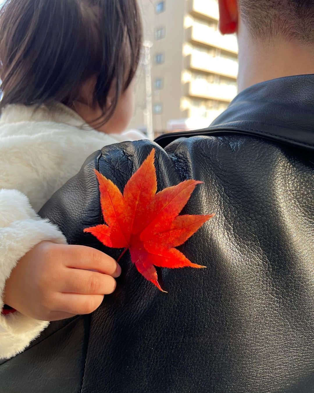 Rika Sasaki JPNのインスタグラム：「Hello November🍁💛」