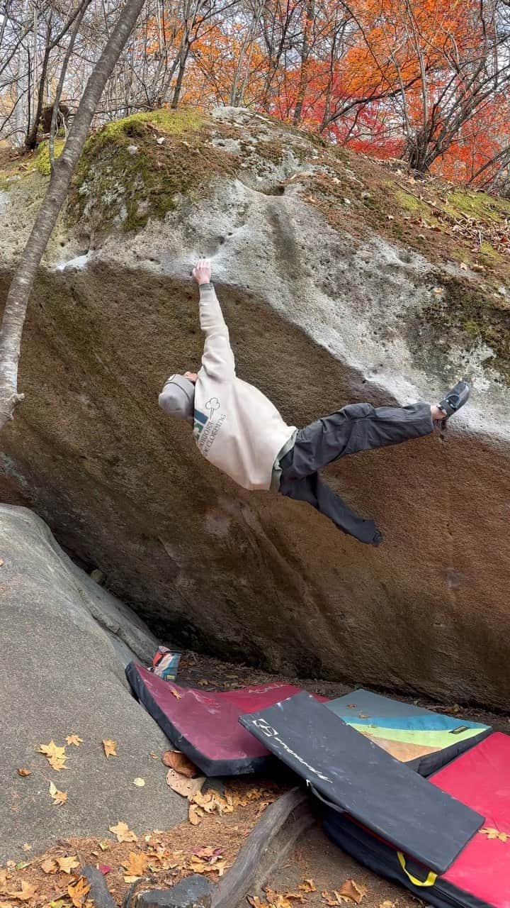 坂井絢音のグルメインスタ