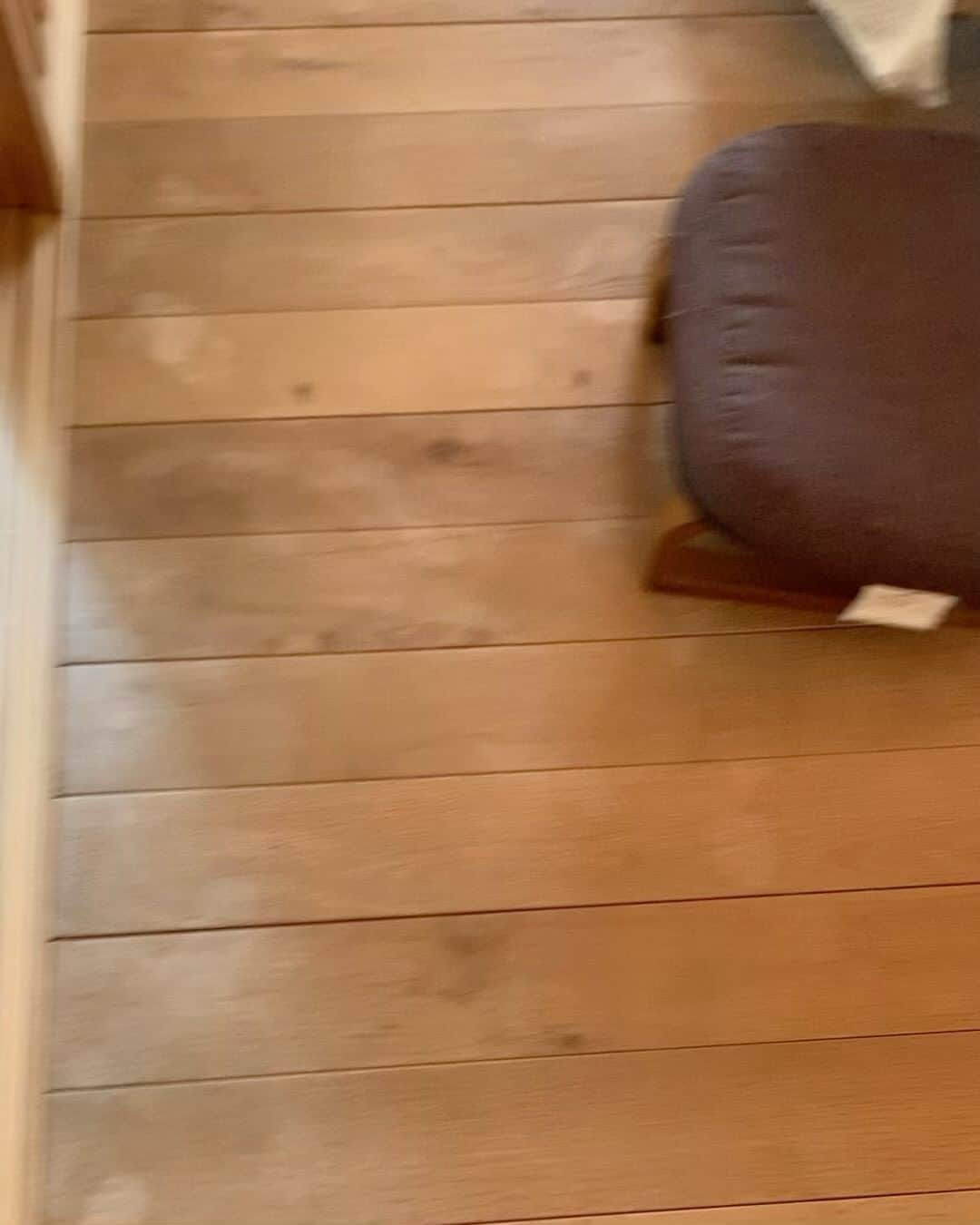 くるねこ大和のインスタグラム