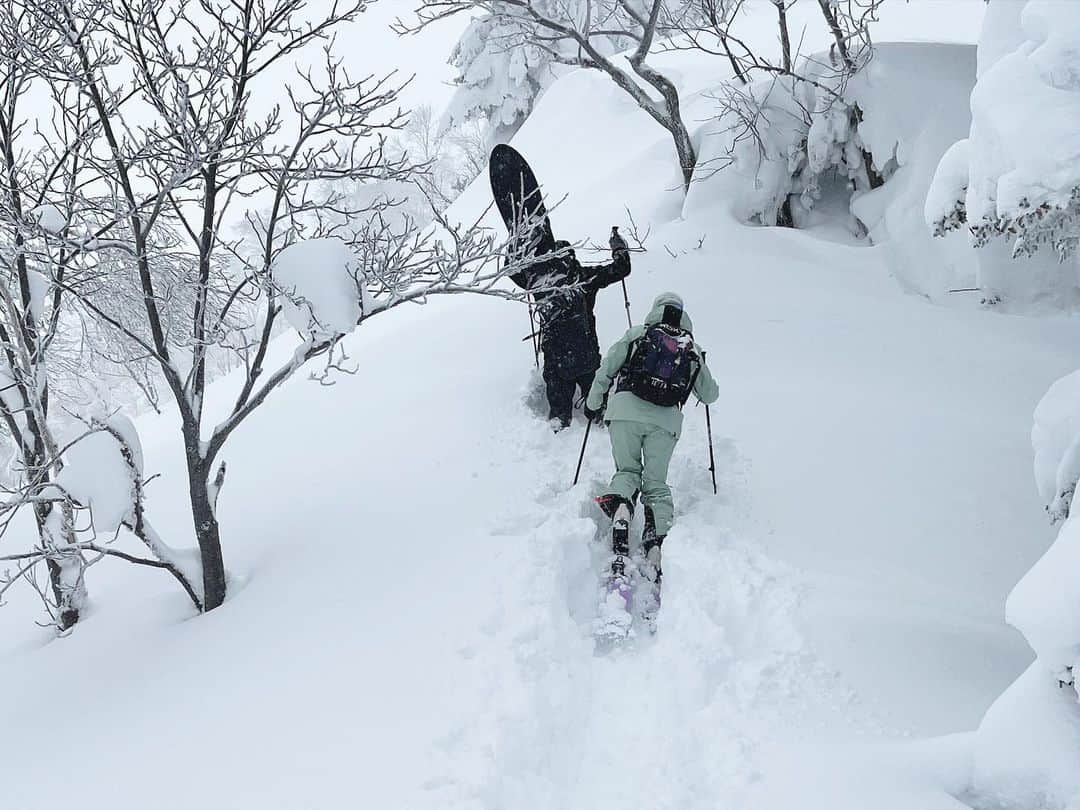 岩垂かれんさんのインスタグラム写真 - (岩垂かれんInstagram)「⛰️ 今シーズンもたくさん歩いていろんな山を旅しよう  #歩くの得意じゃないけど」11月2日 13時19分 - kareniwadare