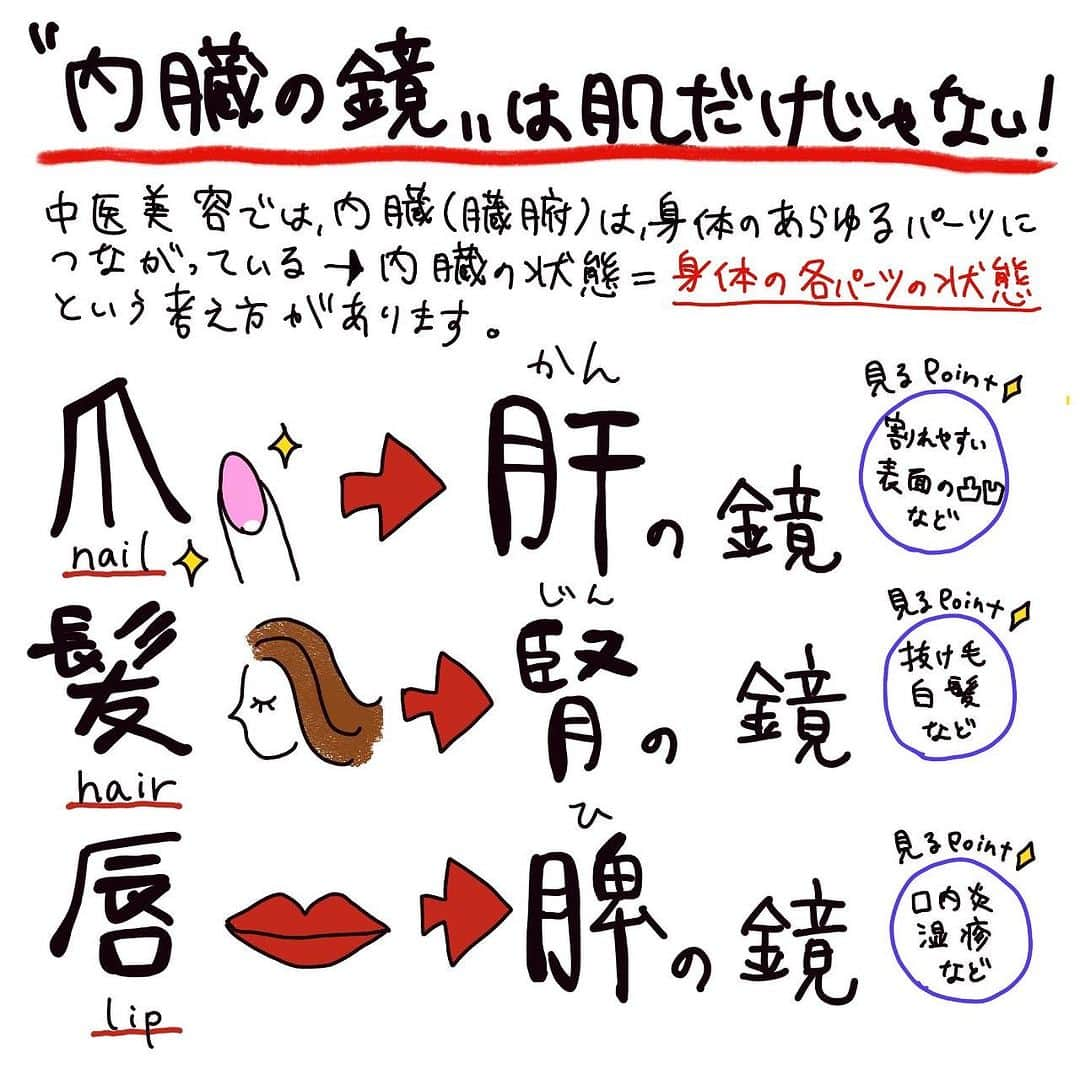 濱田文恵のインスタグラム：「季節の変わり目で、体調を崩したり、肌調子が乱れたりする声を耳にします。🙌  肌は、内臓の鏡と聞いたことがある方も多いと思いますが、実は内臓の鏡は、肌だけではありません。  例えば、爪の状態は体内の“肝”の状態を表し、髪は“腎”の状態を表します。  皆さまは、イラストに当てはまりそうな内臓の不調はありそうですか？😀  ぜひ、下の投票から教えてくださいね♡」