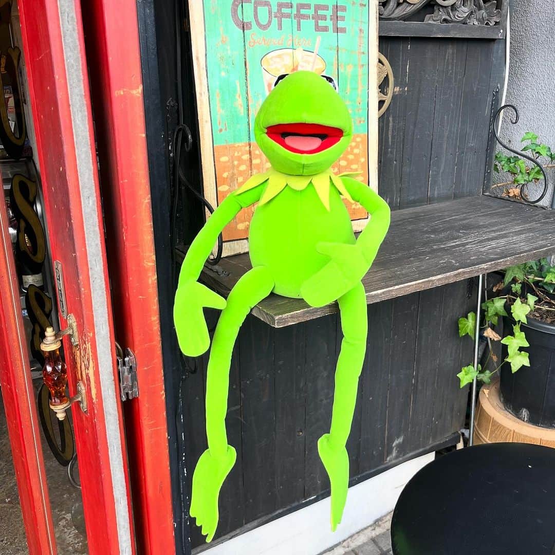 おもちゃやSPIRALのインスタグラム：「Vintage Kermit 入荷しました！  全長60cm！  大きいサイズです✨」