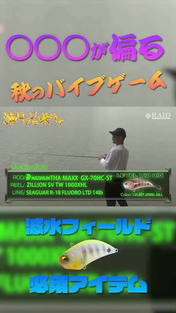 金森隆志のインスタグラム：「秋の減水フィールドでは"沖にベイトが溜まりだす"とバイブが無双と化す💪  #PR」