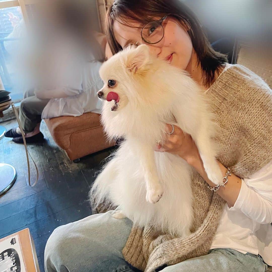長谷川あかりのインスタグラム：「犬の日に犬会 高校の友達と。 私は見学参加。  質問がありました。 ベストとデニムは　@maisonmargiela です。 今年はベスト着られる期間が長くて嬉しいです。」