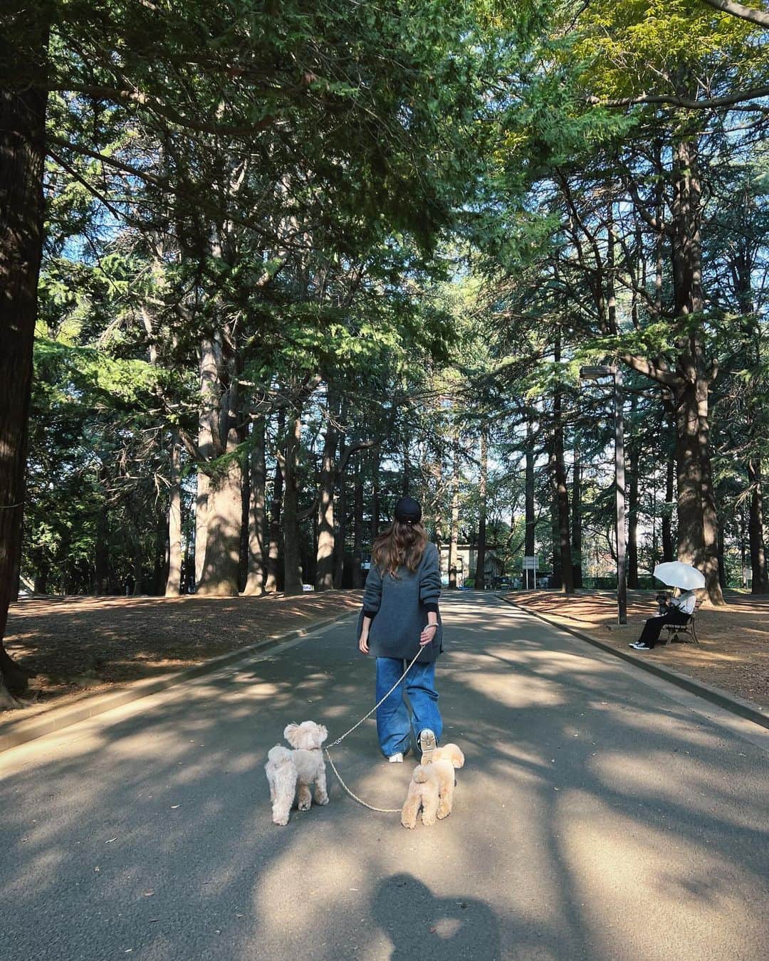 廣瀬規子さんのインスタグラム写真 - (廣瀬規子Instagram)「秋の公園、、🥹🫰💕  光が回って綺麗✨  🐶🐶お散歩が楽しい季節ですね✨  #散歩 #自然を求めて #トイプードル #マルプー #多頭飼い #ヒーリング #公園」11月2日 14時51分 - noriko_style