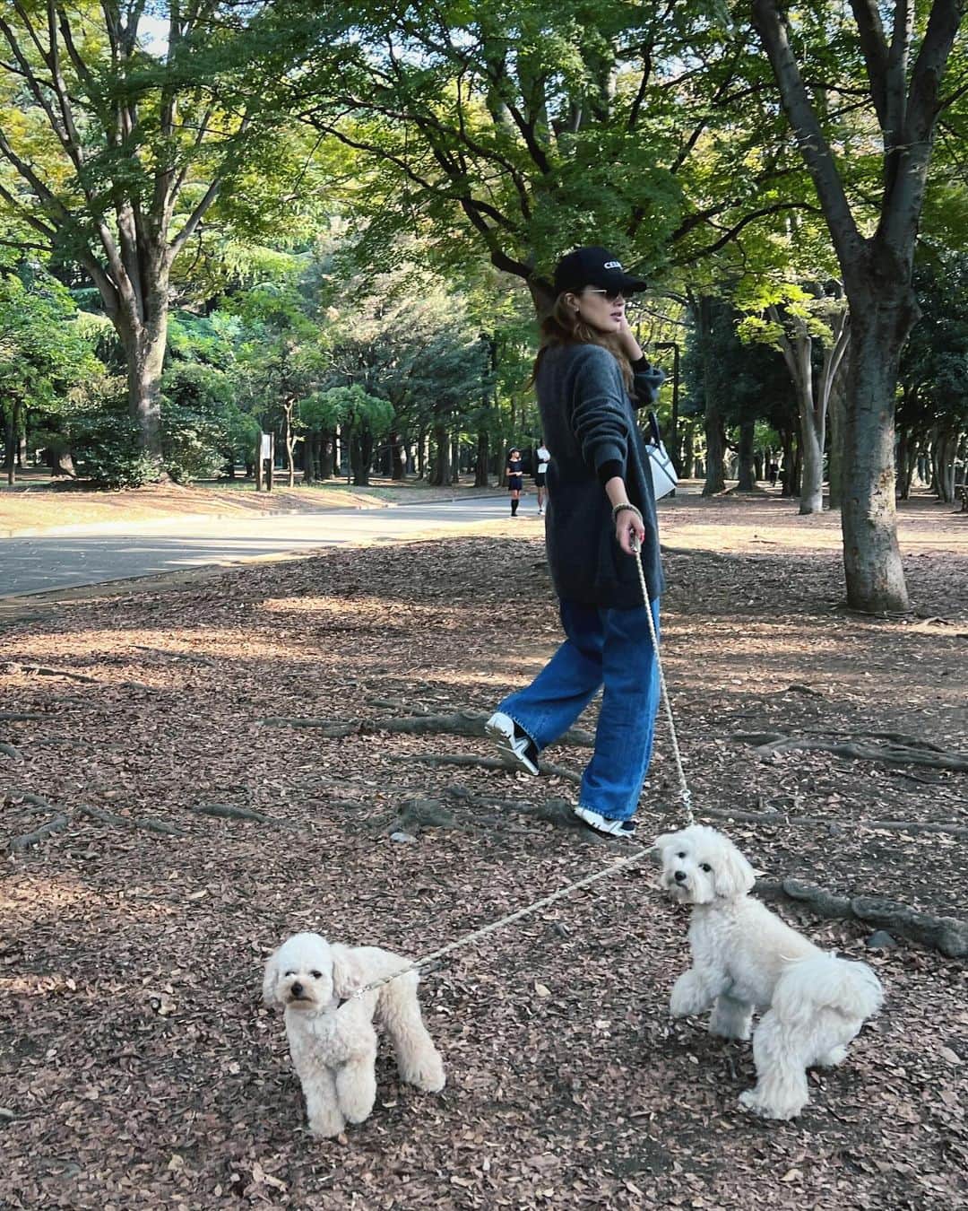 廣瀬規子さんのインスタグラム写真 - (廣瀬規子Instagram)「秋の公園、、🥹🫰💕  光が回って綺麗✨  🐶🐶お散歩が楽しい季節ですね✨  #散歩 #自然を求めて #トイプードル #マルプー #多頭飼い #ヒーリング #公園」11月2日 14時51分 - noriko_style