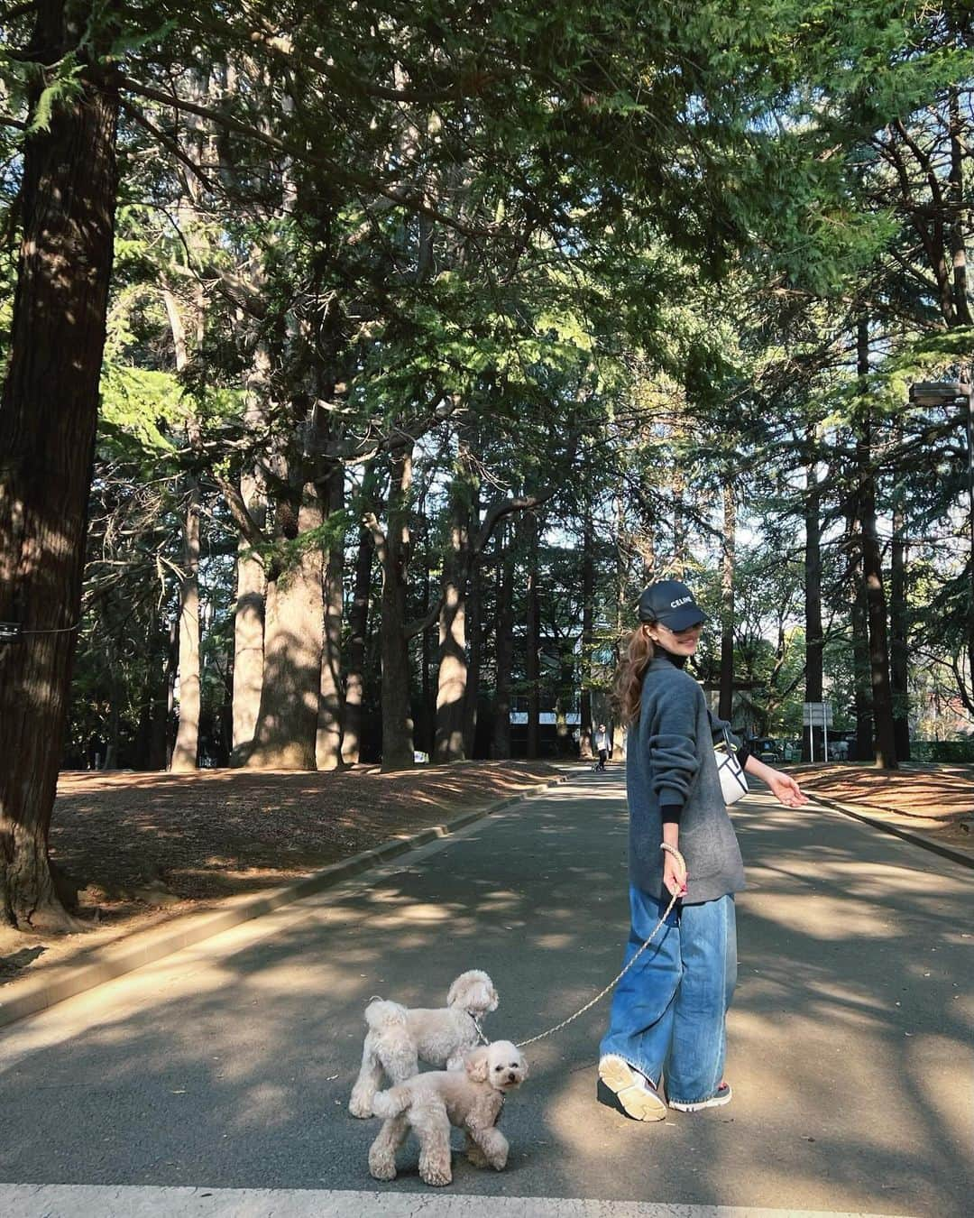 廣瀬規子さんのインスタグラム写真 - (廣瀬規子Instagram)「秋の公園、、🥹🫰💕  光が回って綺麗✨  🐶🐶お散歩が楽しい季節ですね✨  #散歩 #自然を求めて #トイプードル #マルプー #多頭飼い #ヒーリング #公園」11月2日 14時51分 - noriko_style