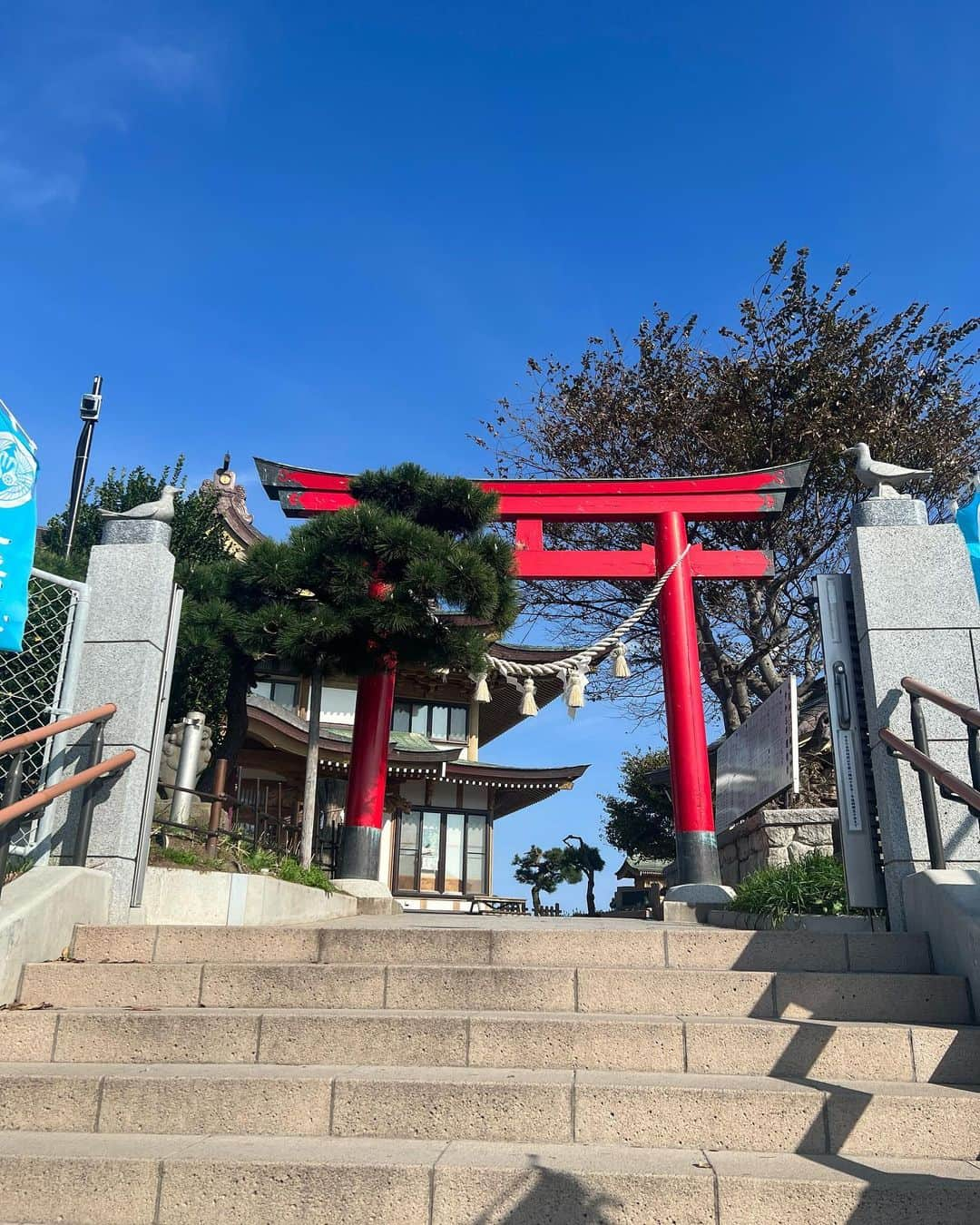 たけるさんのインスタグラム写真 - (たけるInstagram)「【最近の参拝歴】  蕪島神社　青森県八戸 イチキシマヒメノミコトを祀る神社 よく言うところの弁財天さんを祀っている お金の神様 前澤社長だよね 令和の弁財天前澤友作 ウミネコがうじゃうじゃいる神社 もののけ姫のこだまぐらいいるよ ウミネコの大合唱も聞けるよ ハモネプの楽屋ぐらい各々歌ってるよ だけど行った時は一羽もいなかった 糞しかなかった まだ温かった 遠くには行ってなさそうだった 次行く時はウミネコの大合唱みたい 鳥居カッケェ 二の鳥居は松の木にちょっと隠れてる照れ屋鳥居 好きな人を電柱から見てる鳥居でもある とにかく鳥居カッケェ  #東京ホテイソン #たける #神社 #備中神楽 #グレープカンパニー #蕪島神社 #青森 #八戸 #パワースポット #神社巡り #鳥居カッケェ」11月2日 14時58分 - takayanken