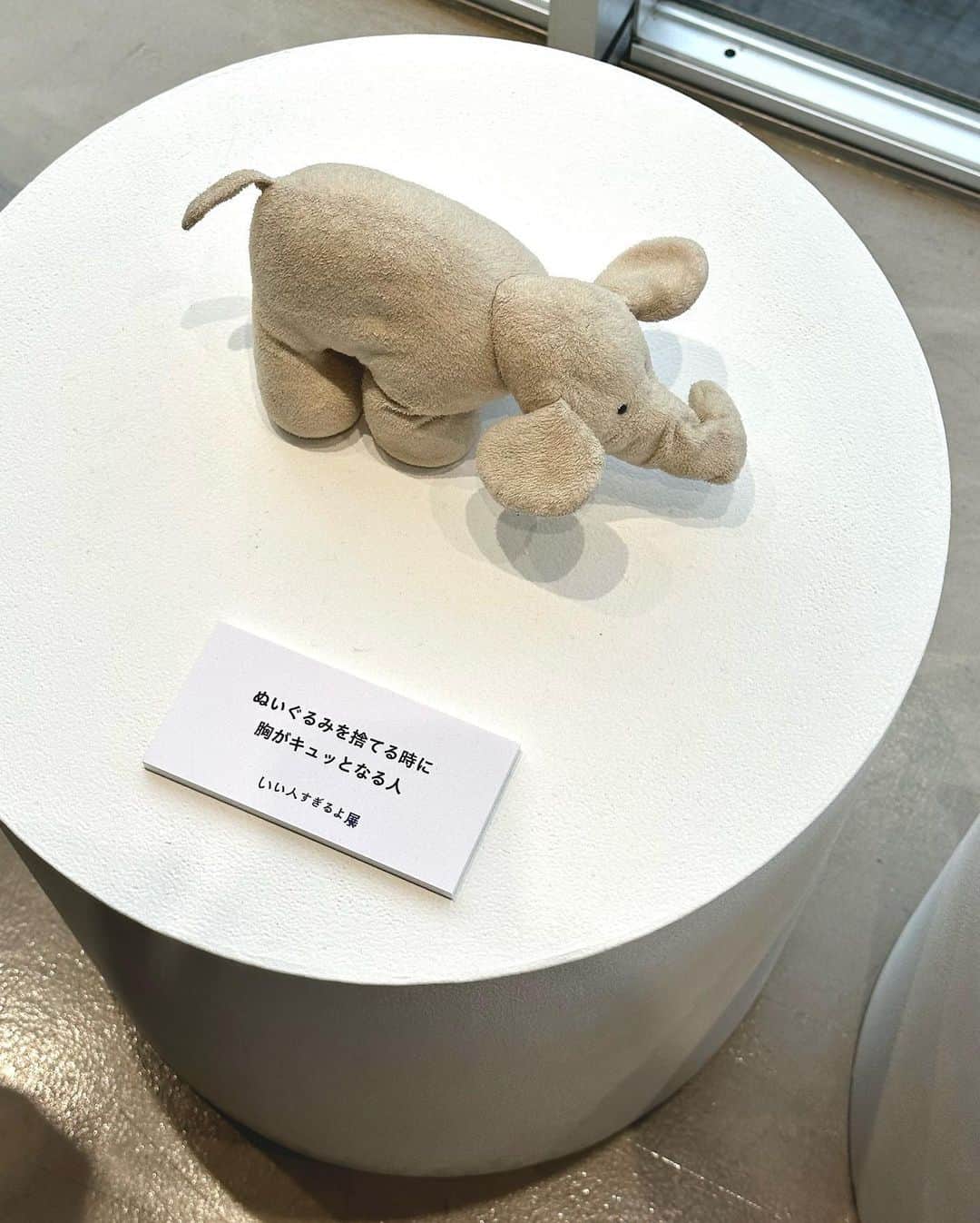 前田こころのインスタグラム：「.  #いい人すぎるよ展 とってもほっこりした☺️  #beyooooonds #前田こころ」