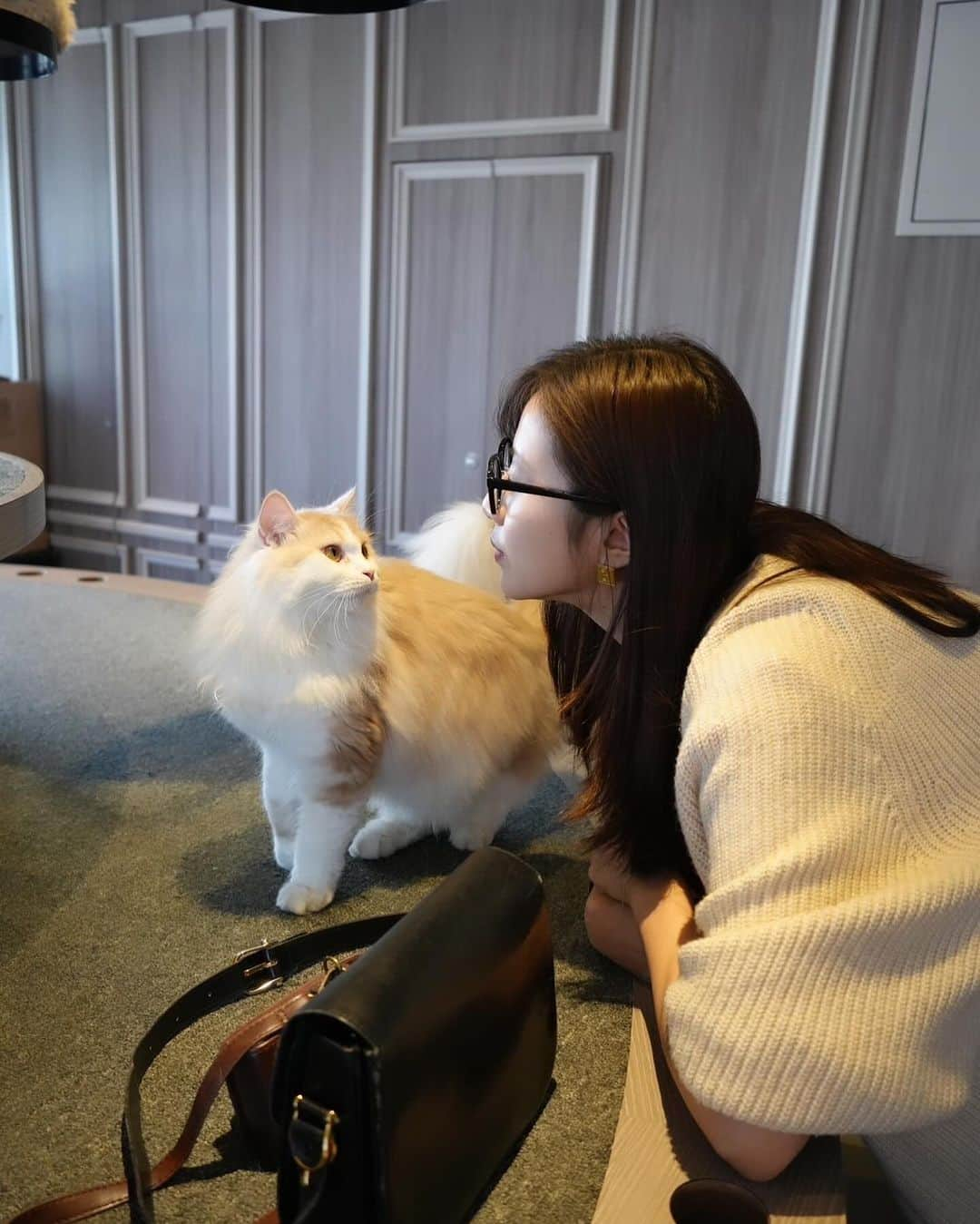 大伴理奈さんのインスタグラム写真 - (大伴理奈Instagram)「_ 久しぶりの猫カフェ @catcafemocha さんに☺︎ モフモフの可愛過ぎる猫ちゃんが大渋滞しており 入ってすぐ猫ちゃんがお出迎えしてくれてもうテンションが上がりまくり、、 わちちゃんカメラマンにたくさん写真を撮ってもらったので 載せすぎてしまいごめんなさい、、笑 写真だとちょっと猫ちゃん達にうざがられてそう？笑ですが 実際皆とても甘えん坊でいい子ばかりでした🫰🏻🐱♡  至福のひとときでした..❤️  @mocha.shibuya   #猫カフェmocha #猫カフェ #渋谷猫カフェ #渋谷カフェ」11月2日 15時41分 - rina_otomo