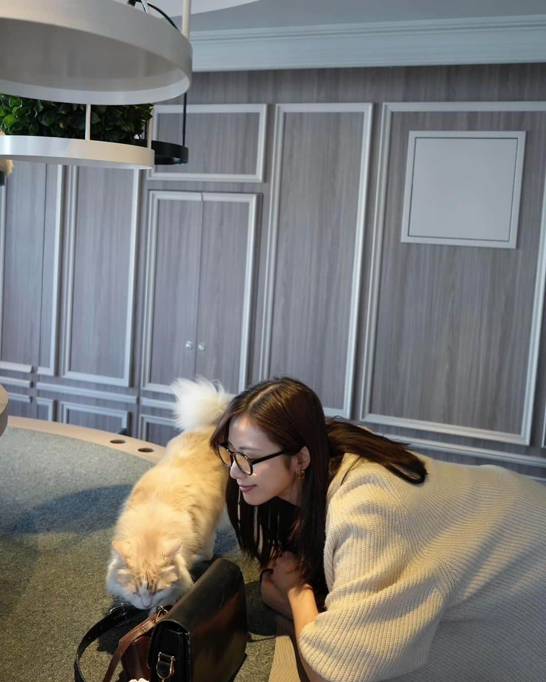 大伴理奈さんのインスタグラム写真 - (大伴理奈Instagram)「_ 久しぶりの猫カフェ @catcafemocha さんに☺︎ モフモフの可愛過ぎる猫ちゃんが大渋滞しており 入ってすぐ猫ちゃんがお出迎えしてくれてもうテンションが上がりまくり、、 わちちゃんカメラマンにたくさん写真を撮ってもらったので 載せすぎてしまいごめんなさい、、笑 写真だとちょっと猫ちゃん達にうざがられてそう？笑ですが 実際皆とても甘えん坊でいい子ばかりでした🫰🏻🐱♡  至福のひとときでした..❤️  @mocha.shibuya   #猫カフェmocha #猫カフェ #渋谷猫カフェ #渋谷カフェ」11月2日 15時41分 - rina_otomo