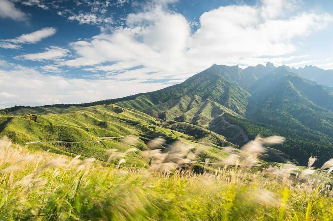 ニコンイメージングジャパン公式のインスタグラム：「‖風吹く山並み Photo by @kubakichi_2nd https://www.instagram.com/p/CxmYbfcPdDj/ * ニコンのカメラ・レンズで撮影され、「#nikoncreators」をつけて投稿していただいた皆さまの作品をご紹介します。投稿の際は使用機材名をぜひご記載ください。 （作品使用に関するガイドラインは本アカウントのプロフィールに記載しているURLからご覧ください）  #nikoncreators #ニコン #nikon #一眼 #カメラ #camera #nikon📷 #nikonlove #light_nikon #阿蘇 #山 #風  ※皆様、政府、自治体など公的機関の指示に従った行動をお願いします。  nikonjpでは、写真を「見る楽しみ」を提供することを通して、 微力ながら皆様にわずかな時間でも癒しをお届けしたいと思っております。 本アカウントでの投稿を引き続きお楽しみください。 . 【ご注意ください】⠀⠀ ニコンイメージングジャパン公式を名乗るなりすましアカウントが確認されています。 不審なDMを受け取った場合、記載されているURLなどはクリックせず、DMの削除などをお願いいたします。 . ニコンイメージングジャパン公式アカウントは下記からご確認いただけます。 https://www.nikon-image.com/socialmedia/」