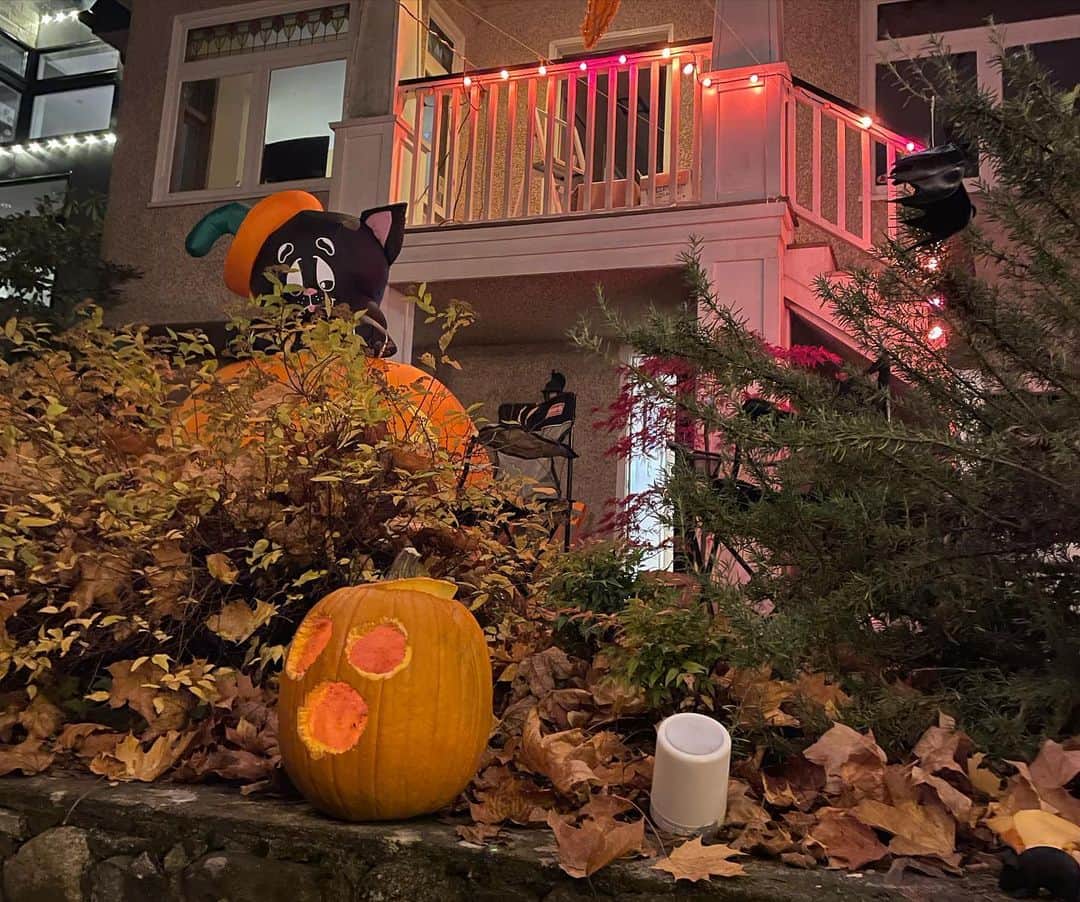 光浦靖子さんのインスタグラム写真 - (光浦靖子Instagram)「Halloween 🎃」11月2日 16時02分 - yasukomitsuura