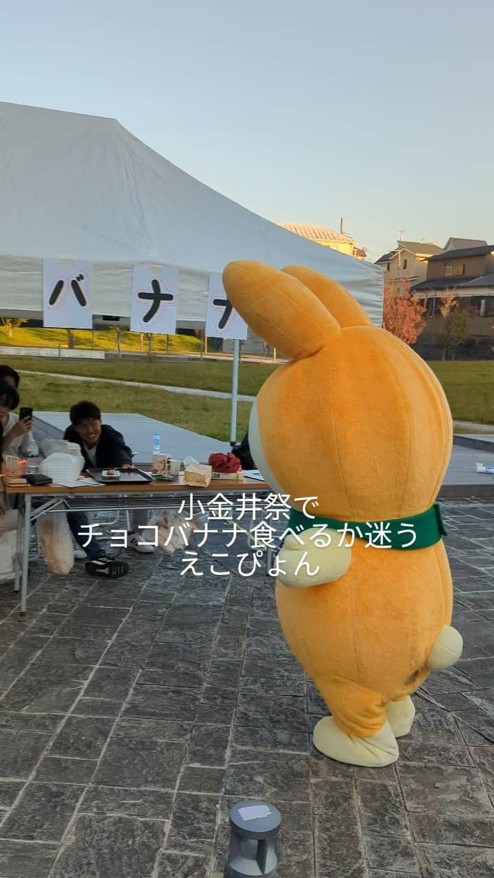 法政大学のインスタグラム：「小金井祭でチョコバナナ食べるか迷うえこぴょん。  本日から市ケ谷祭、小金井祭がはじまりました～！ みなさんご来場お待ちしています！  市ケ谷キャンパス：2023年11月2日（木）～5日（日） 小金井キャンパス：2023年11月2日（木）～4日（土）  各キャンパスの催しの詳細は大学ウェブサイトからご確認ください。 https://www.hosei.ac.jp/campuslife/club/daigakusai/ インスタのプロフィールの「大学祭」というハイライトから上記URLに直接飛ぶことができます。  #法政大学 #法政 #大学 #春から法政 #春から大学生 #受験生 #大学祭 #学祭 #文化祭 #市ケ谷 #小金井 #キャンパスライフ #大学生活 #試験 #勉強 #授業 #サークル #大学受験 #受験 #HOSEI #hoseiuniversity #hosei #university #student #campuslife」