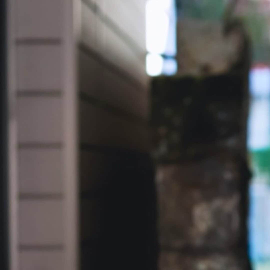 のインスタグラム：「人の評価を気にしすぎて窮屈になりがちだから、ゆるーくゆるーく。  心にはたっぷりの栄養を！！  ゆとりと余裕も時には必要。  あと、睡眠と食欲も！！！←これわたしだけ！！」
