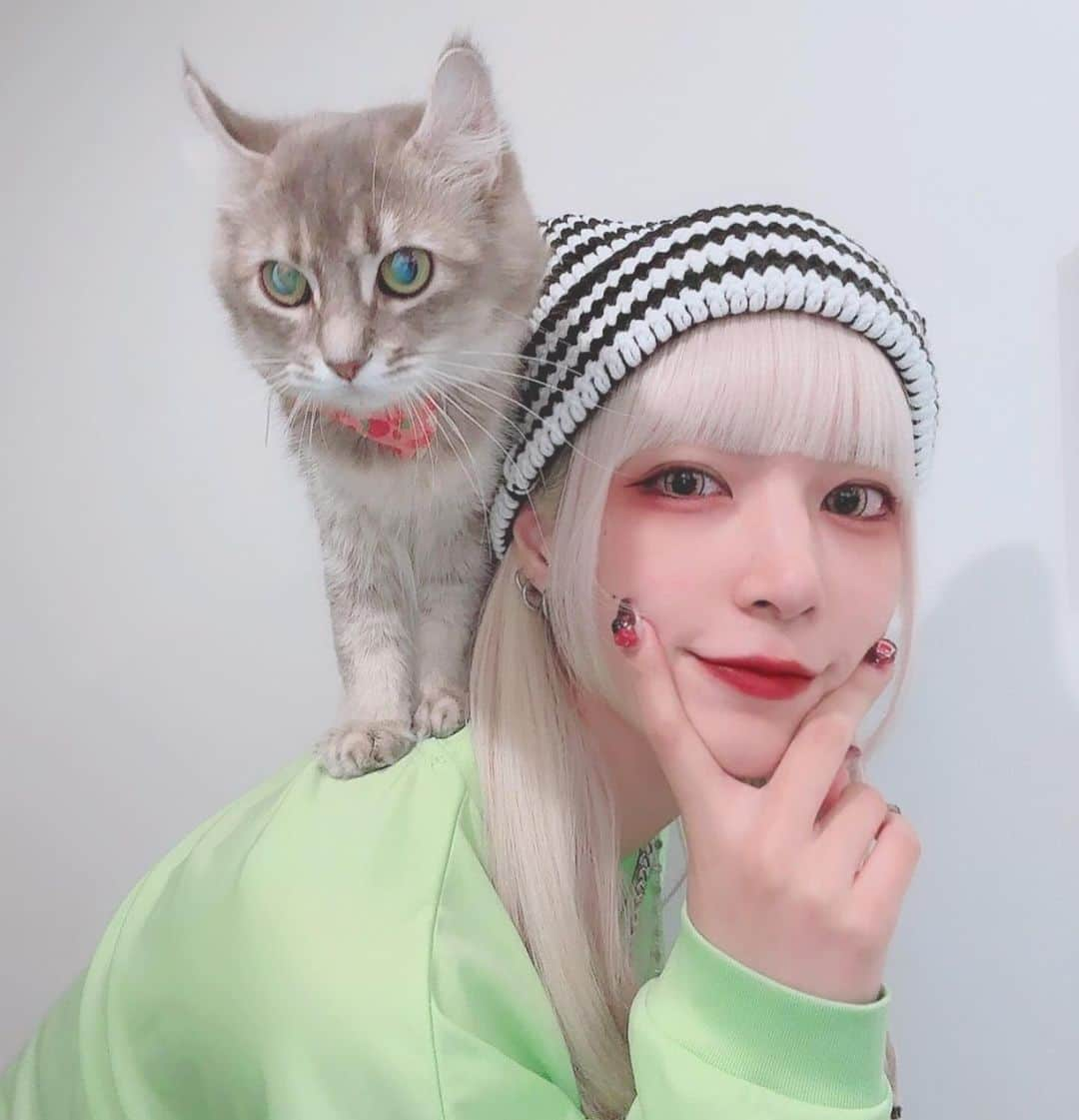 ゆえるのインスタグラム：「ฅ^•ω•^ฅ  #catlife #catstagram #ねこのいる暮らし  #メイク #アイドル #コスプレイヤー  #推してください #ネオエレクトロクラッシュ  #被写体 #角色扮演 #闇属性 #サブカル #派手髪 #y2k  #fashion #cosplay #cosplayer #kawaii #cyberkawaii #japanesegirl #japanesecosplayer #anime #photography #photogram  #follw #followｍe #idol #artist #model」