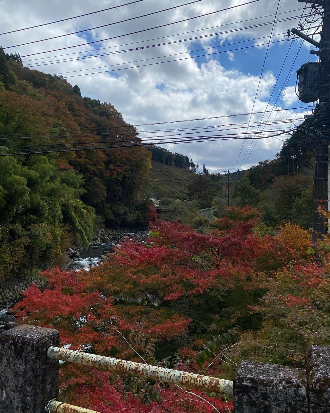 坂口理子さんのインスタグラム写真 - (坂口理子Instagram)「明日の坂口調べ！バリバリサーチは 福岡から日帰りで行ける"絶景温泉♨️"です🍁  季節外れに暑い日もありますが.... 着々と紅葉も色づき秋が深まっています🌾  写真は大分県九重町の旅館　新清館さんの近くです！  私自身、温泉が大大大好きなので撮影でずっと 入っておかないといけなかったり 何度も入らせていただいたりと...スタッフさんに 体調の心配もして頂いたのですが 大変だなとは一度も思わずただただ、 大満喫させて頂き最高のロケでした！！！！！！  湯冷めしづらい成分の入った温泉もありました♨️  実は、プライベートではかなりいろんなところに 行くのですが、お仕事では初でした！！！  去年のHKT4811周年コンサートの演出の一部で バスロマンを持ってバスタオルを巻いて登場しましたが まさか1年後、お仕事で同じ姿になるとは思いませんでした！！  バリバリサーチは毎週金曜日の特集で放送しています！ 明日の絶景温泉は6：00台のバリはやッ!ZIP!で お届けしますよー！！ いつも観てくださっている皆さん、 ありがとうございます😭  他県で観られない😭という方はFBS福岡放送の YouTubeチャンネルもしくは @barihaya の インスタグラムをぜひチェックしてくださいね☺︎🌈  #バリバリサーチ #バリはやッzip #温泉 #ロケ  #紅葉 #絶景温泉 #日帰り温泉 #熊本温泉 #大分温泉 #筑紫野温泉 #長崎温泉 (紹介予定)  またオンエア後に投稿しますね☺️」11月2日 16時44分 - ricopi__hkt48