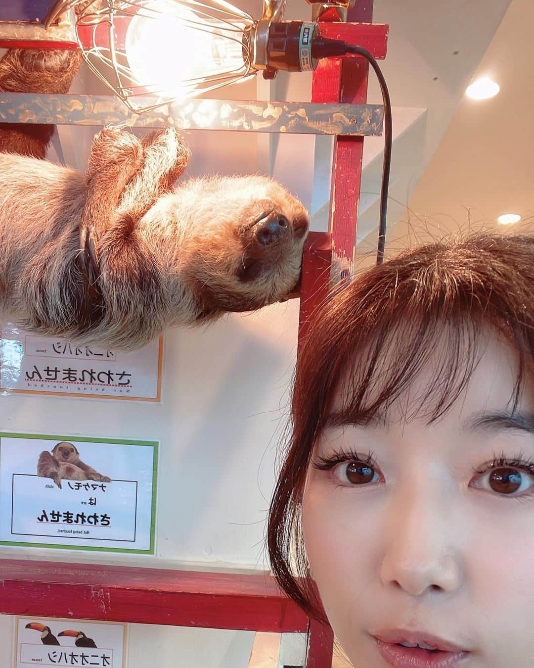 SAWAのインスタグラム：「生きてる〜ALIVE〜」