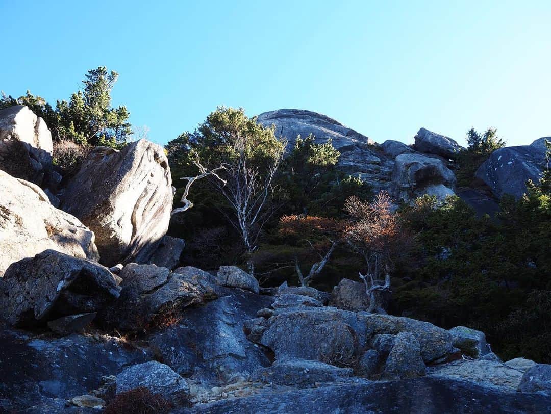 中村優さんのインスタグラム写真 - (中村優Instagram)「⛰️⛰️ひたすら感動の景色⛰️⛰️ @orangebackpackers #金峰山#大日岩#富士見平#登山#優trekking」11月2日 16時46分 - nkmr_yu