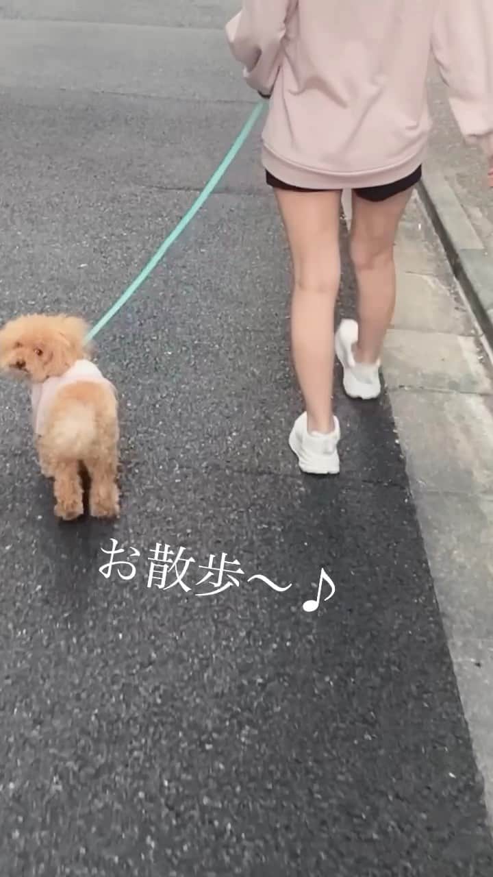 藤田恵名のインスタグラム：「お揃いでお散歩だよう〜♪」