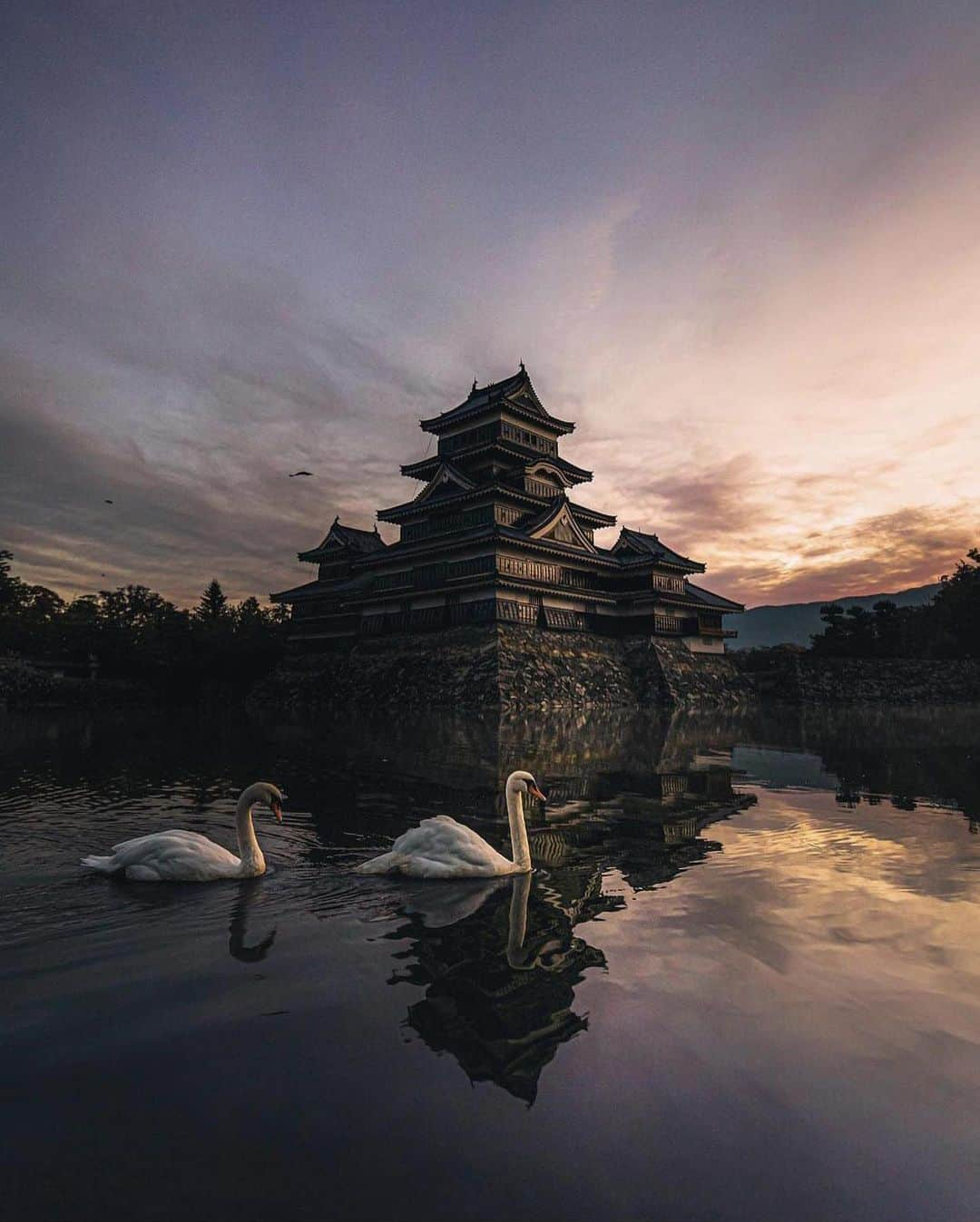 ?長野県 観光 公式インスタグラム のインスタグラム：「// Photo by @88mercury  大空を背景に 「国宝 松本城」 ＠松本市  現存する五重六階の天守の中で  日本最古の城「国宝 松本城」  威風堂々と建つ姿から 圧倒的な存在感を放っています😀✨️  外観の白と黒のコントラストが水面に反射する姿も魅力的 🏯✨️  自然に囲まれた立地から、ハクチョウやカモなど 多種多様な生き物に出会えることもありますよ🦢✨  ＝＝＝＝＝＝＝＝＝  National Treasure Matsumoto Castle (Matsumoto City)  National Treasure Matsumoto Castle is the oldest extant example of a five-story six-floor castle keep in Japan and exudes an overwhelming presence.  The striking contrast of its white and black exterior reflecting clearly in the moat below is a delight to see.   You may find animals like swans and ducks coming to visit the castle as well.  ＿＿＿＿＿＿＿＿＿　  Location / Matsumoto City , Nagano , Japan   #おうちでながの #長野のいいところ #松本城 #松本市  ＿＿＿＿＿＿＿＿＿  🍁インスタアワード秋冬⛄作品募集中📷  #長野の列車旅秋冬 撮影場所(長野県内に限ります) をキャプションに入れて 応募期間（10/16～1/31）に投稿してください。 優秀作品に選ばれると 長野県特産品セットをプレゼント🎁」