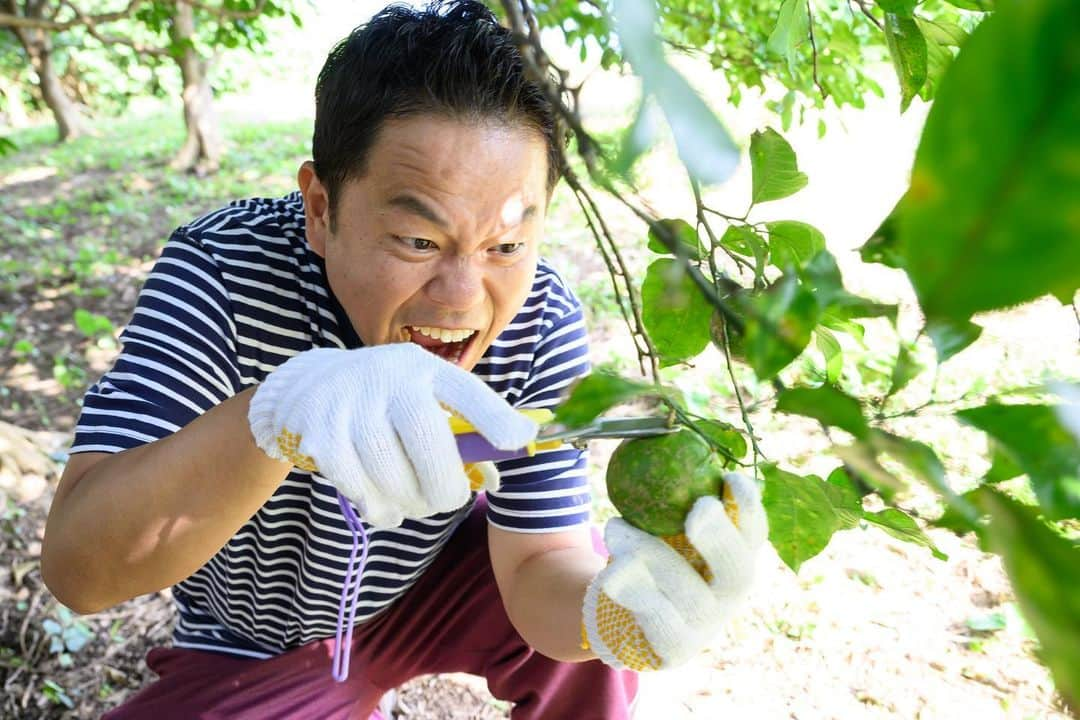 日本テレビ「満天☆青空レストラン」さんのインスタグラム写真 - (日本テレビ「満天☆青空レストラン」Instagram)「⁡ 今週の青空レストランは、 鹿児島県の辺塚だいだいをご紹介します！☺️ ⁡ ⁡ ゲストはお久しぶりの 北乃きいさんとダイアンさんです！！ ⁡ ⁡ ⁡ とっても景色のいいオープニングから 辺塚だいだい畑もお料理も とっても眺めの良い場所で撮影しました🌊 ⁡ ⁡ ⁡ 美味しそうなだいだい料理とキレイな景色を お楽しみに！！！！ ⁡ ⁡ ⁡ ⁡ ⁡ ⁡ ⁡ #満天青空レストラン #青空レストラン #青空 #青レス #満天 #宮川大輔 #大ちゃん #うまい　#レシピ #日テレ #日本テレビ #鹿児島県 #肝付町 #ロケ #だいだい #辺塚だいだい #北乃きい #ダイアン #サッポロ #サッポロで乾杯」11月2日 17時10分 - aozora_official