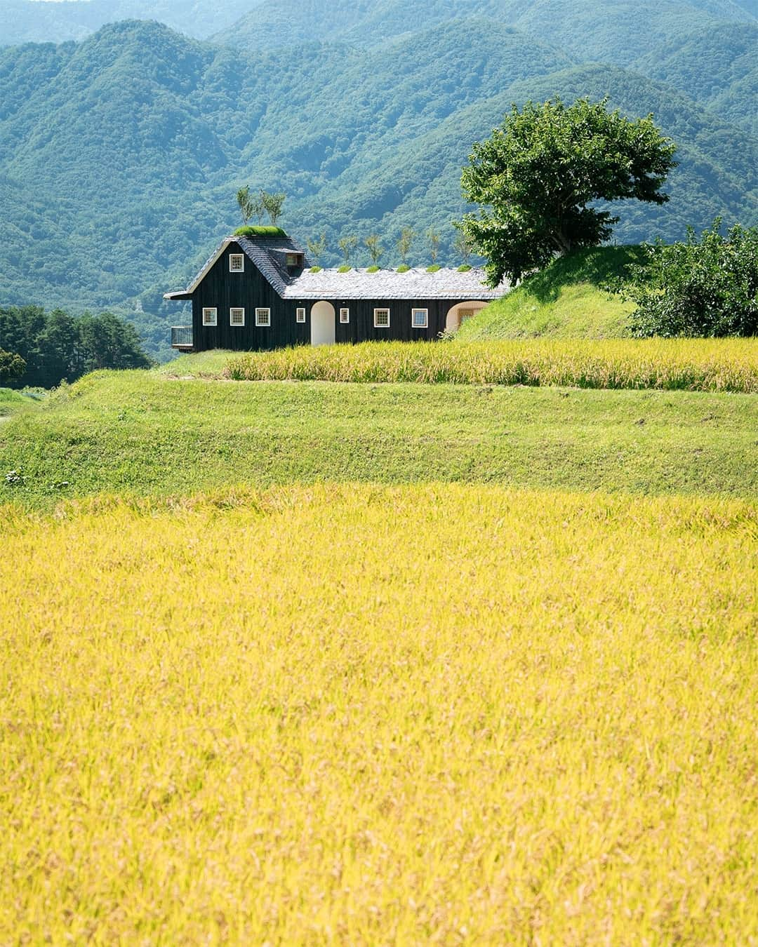 KINTOさんのインスタグラム写真 - (KINTOInstagram)「小泊Fuji(@kodomari_fuji)は、長野県諏訪郡富士見町にある一組限定一棟貸しの宿。「いのちの中で呼吸する」をコンセプトとした建築家藤森照信による日本初の宿泊施設で、自然環境と建築をプライベートに満喫することができます。⁠ ⁠ 施設内でゆっくりと食事をしたい人のためにミニキッチンもあり、KINTOのテーブルウェアやキッチンアイテムも備えられています。⁠ ⁠ 詳しくはkinto.co.jpのJOURNALページに掲載中の記事にて。⁠ @kintojapan⁠ ⁠ ---⁠ Nestled in a small village in Fujimi Town in Nagano Prefecture, Kodomari Fuji(@kodomari_fuji) is a private villa designed by Japanese architect Terunobu Fujimori. Guests can enjoy nature and architecture in a private atmosphere, and also cook and dine on site in a mini-kitchen with KINTO tableware and kitchen items. ⁠ ⁠ Check out our latest article on www.kinto.co.jp JOURNAL section to learn more.⁠ @kintojapan⁠ .⁠ .⁠ .⁠ #kinto #キントー #kintojournal #小泊fuji #kodomarifuji」11月2日 17時05分 - kintojapan