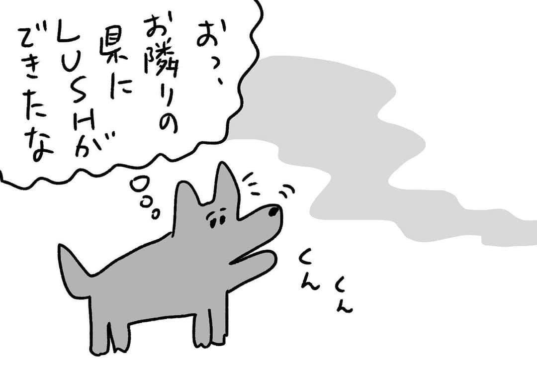 おほしんたろうさんのインスタグラム写真 - (おほしんたろうInstagram)「このくらいは余裕 . . . . . #おほまんが#マンガ#漫画#インスタ漫画#イラスト#イラストレーター#イラストレーション#1コマ漫画#犬」11月2日 17時12分 - ohoshintaro