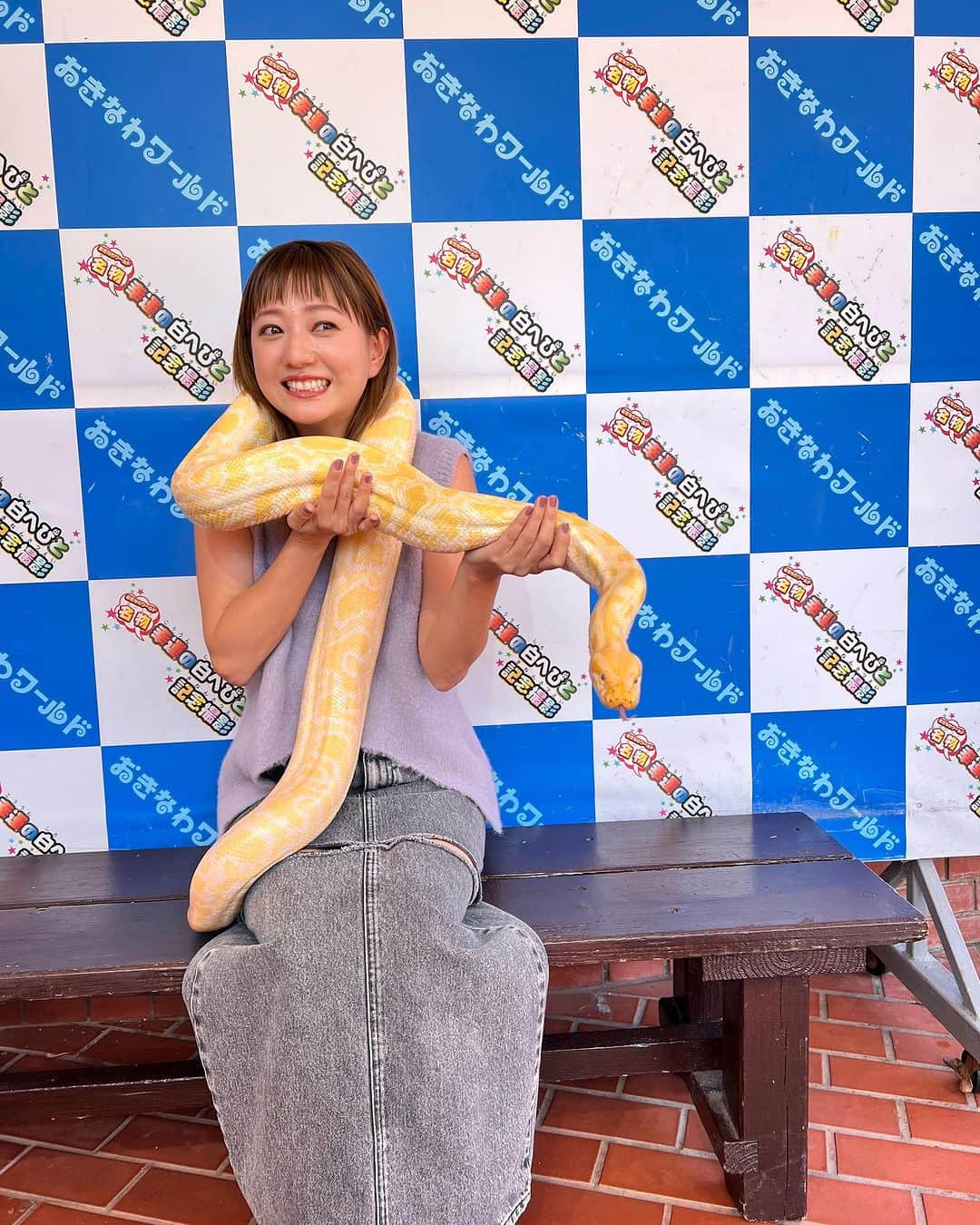 伊藤千晃のインスタグラム：「そういえば、先日の沖縄で、 とんでもない体験をしました🐍💦 ⁡ 久々に、下から上にかけてゾワゾワっときた😰💦💦 ⁡  #もうやりません  #ひきつり笑顔  #🐍」