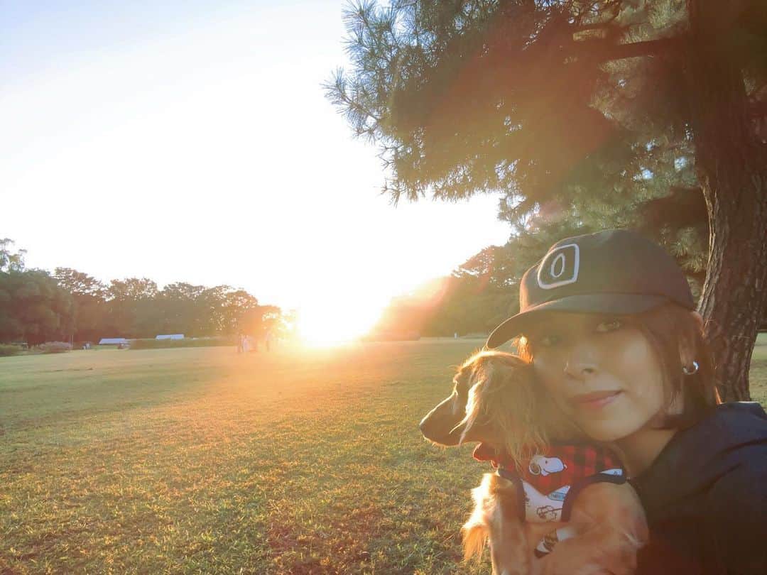 沙月愛奈さんのインスタグラム写真 - (沙月愛奈Instagram)「⁡ ⁡ 夕陽がいい仕事をしてくれた✨ でも撮るのは大変だった😂 ⁡ #お出掛け日和 #休日の過ごし方  #犬のいる暮らし #いぬすたぐらむ #カニンヘンダックス  #相模原公園 #帽子を脱いだら #ボサボサヘアー」11月2日 17時13分 - satsuki_aina_ayumi