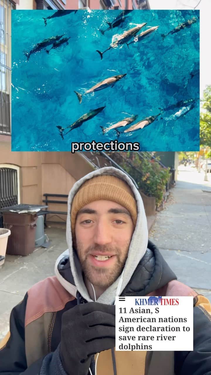 Jacob Simonのインスタグラム：「What good story are you writing today?  #forthefirstandonlytime #november2 #goodnews #freshair #riverdolphins  ℹ️Stories on climativity.com every Friday, 🎶Music by Tristan Arostegui & Hunter Hanson.」