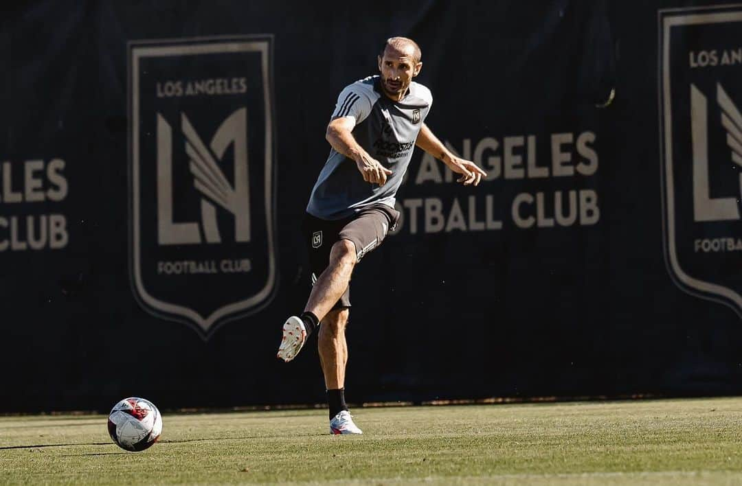 ジョルジョ・キエッリーニさんのインスタグラム写真 - (ジョルジョ・キエッリーニInstagram)「💪⚫️🟡  #LAFC」11月3日 3時32分 - giorgiochiellini