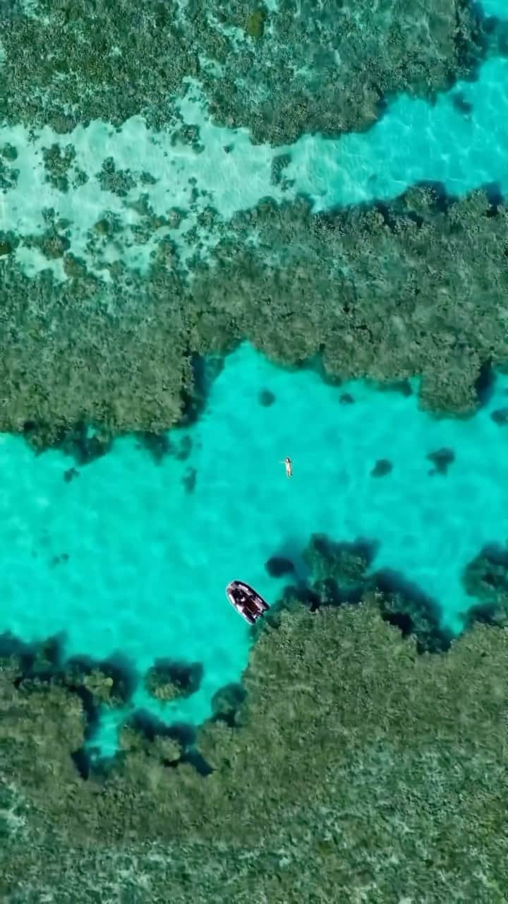 Australiaのインスタグラム：「Dive in, the water’s fineeee👌🏻🩵 Embrace crystal-clear bliss at @queensland’s Wallaginji (#LadyMusgraveIsland). The lagoon here serves as a natural aquarium, perfect for discovering the array of corals and majestic marine life that call the @southerngreatbarrierreef home. Ready for the best part? You can even snooze under the star-studded sky right here, thanks to @lady_musgrave_experience. Pretty cool, huh?   🎥: @thegreenertwo   📍: Lady Musgrave Lagoon, @southerngreatbarrierreef, @ladymusgrave_experience, @Queensland   #SeeAustralia #ComeAndSayGday #ThisIsQueensland #LadyMusgraveIsland #VisitBundaberg  ID: A drone shot shows a small boat from above. A woman jumps from it into the clear greeny blue water that surrounds her. As the drone zooms out you can see expansive water with coral cays scattered throughout.」