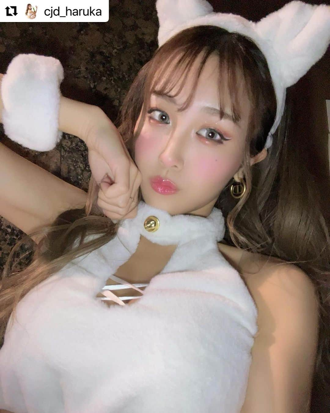 ドレスショップTIKA公式のインスタグラム：「🐱ご着用ありがとうございます🤍 着用アイテムはタップで𝑪𝒉𝒆𝒄𝒌🫶🏻✨  -- 《Instagramキャンペーン🌟》 タグ付け投稿で お得なクーポンをプレゼント💝 詳しくはプロフィールからHPをCHECK❣️ 投稿お待ちしております☺️ -- #ハロウィンコスプレ #halloween #halloweencostume  #コスプレ #キャバ嬢コスプレ #コスプレはtika #ティカ #セクシーコスプレ #アニマルコスプレ #ふわふわコスプレ #猫コスプレ #animalcostume #cosplaygirl #costumegirl」