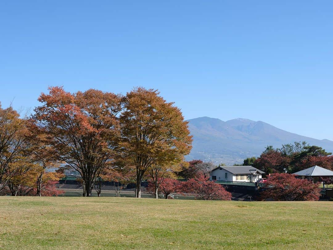 ヒラハルのインスタグラム：「わざわざの実店舗「問tou」のある芸術むら公園（長野県東御市）で、紅葉がピークを迎えています🍁  @toutokai  ☝️問touの最新情報はこちらから  桜は春満開を迎えますが、秋は美しく紅葉する芸術むら公園。東京から移住してきたスタッフは、桜の木が紅葉することを知りませんでした。  きれいに植えられている植栽はもちろん、山々も錦をまとったように色とりどりに紅葉しています。環境全体で紅葉を感じられるのは、山が連なってみえる信州ならではなのかもしれません。  日差しがあたたかく、紅葉を楽しみながら、問touのホットドッグを食べるのも気持ちいいです。  問touでは本日から 「石徹白洋品店 POP UPイベント」が始まりました！ 3連休はぜひ、わざわざのお店に遊びにいらしてくださいね。  【問tou イベント情報】  [石徹白洋品店POPUP] 11/2（木）～11/20（月） 岐阜県郡上市白鳥町にある「石徹白（いとしろ）」は、岐阜県の奥美濃のさらに奥にある縄文からの集落です。 ここに古くから伝わる知恵や、直線裁断・直線縫いの服作りを学び、 次の世代に伝えていく活動を続けているのが「石徹白洋品店」 @itoshiroyohinten です。 今回はウール素材の秋冬の衣服をご紹介します。  [椿井木工舎POPUP & ダーニング教室] 11/23（木）～11/27（月） 椿井木工舎 @zweiwoodwork は、長野県上松町にある個人工房です。 精密で丁寧な手仕事で、美しい木工製品を製作されています。 定番商品の他、珍しい木材を使用した限定品も販売予定ですのでお見逃しなく。 11/23、24の2日間はダーニングマッシュルームづくりのワークショップと、 ダーニング教室を開催致します。詳細・ご予約方法は近日公開します。  ◎定期開催◎ クアオルト健康ウオーキング 問touのある芸術むら公園に、「クアオルト健康ウオーキング」の専用コースができました！ ガイドと一緒にクアオルト健康ウオーキングで、東御市の豊かな自然を満喫しながら、五感で感じるウォーキングです。  ▼定期開催していますので、予約不要でご参加いただけます。 11/13（月）10:30～12:00 11/27（月）10:30～12:00 12/11（月）10:30～12:00 12/25（月）10:30～12:00  開催時間：10:30～12:00 参加方法：10:30までに歩きやすい格好で問touにお越しください。予約不要。  ・・・・・・・・・・・・・・・  #わざわざ #長野県 #東御市 #長野県観光 #芸術むら公園 #長野県カフェ #東御市カフェ」