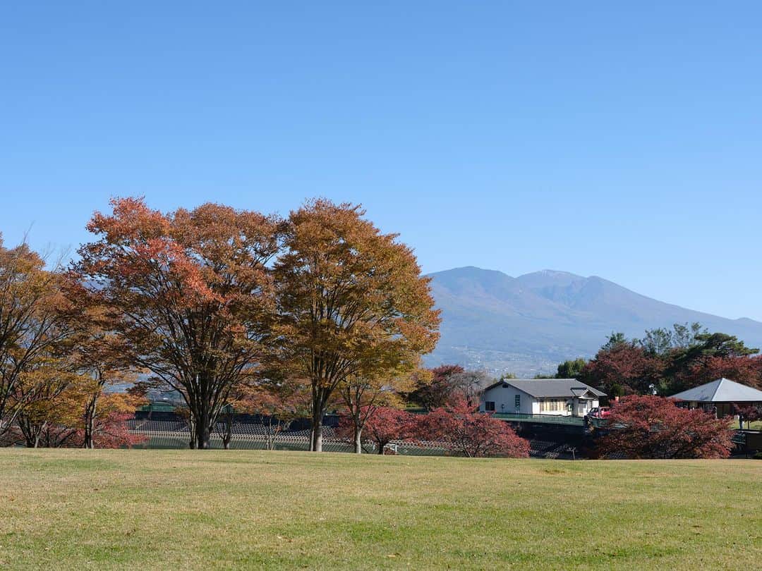 ヒラハルさんのインスタグラム写真 - (ヒラハルInstagram)「わざわざの実店舗「問tou」のある芸術むら公園（長野県東御市）で、紅葉がピークを迎えています🍁  @toutokai  ☝️問touの最新情報はこちらから  桜は春満開を迎えますが、秋は美しく紅葉する芸術むら公園。東京から移住してきたスタッフは、桜の木が紅葉することを知りませんでした。  きれいに植えられている植栽はもちろん、山々も錦をまとったように色とりどりに紅葉しています。環境全体で紅葉を感じられるのは、山が連なってみえる信州ならではなのかもしれません。  日差しがあたたかく、紅葉を楽しみながら、問touのホットドッグを食べるのも気持ちいいです。  問touでは本日から 「石徹白洋品店 POP UPイベント」が始まりました！ 3連休はぜひ、わざわざのお店に遊びにいらしてくださいね。  【問tou イベント情報】  [石徹白洋品店POPUP] 11/2（木）～11/20（月） 岐阜県郡上市白鳥町にある「石徹白（いとしろ）」は、岐阜県の奥美濃のさらに奥にある縄文からの集落です。 ここに古くから伝わる知恵や、直線裁断・直線縫いの服作りを学び、 次の世代に伝えていく活動を続けているのが「石徹白洋品店」 @itoshiroyohinten です。 今回はウール素材の秋冬の衣服をご紹介します。  [椿井木工舎POPUP & ダーニング教室] 11/23（木）～11/27（月） 椿井木工舎 @zweiwoodwork は、長野県上松町にある個人工房です。 精密で丁寧な手仕事で、美しい木工製品を製作されています。 定番商品の他、珍しい木材を使用した限定品も販売予定ですのでお見逃しなく。 11/23、24の2日間はダーニングマッシュルームづくりのワークショップと、 ダーニング教室を開催致します。詳細・ご予約方法は近日公開します。  ◎定期開催◎ クアオルト健康ウオーキング 問touのある芸術むら公園に、「クアオルト健康ウオーキング」の専用コースができました！ ガイドと一緒にクアオルト健康ウオーキングで、東御市の豊かな自然を満喫しながら、五感で感じるウォーキングです。  ▼定期開催していますので、予約不要でご参加いただけます。 11/13（月）10:30～12:00 11/27（月）10:30～12:00 12/11（月）10:30～12:00 12/25（月）10:30～12:00  開催時間：10:30～12:00 参加方法：10:30までに歩きやすい格好で問touにお越しください。予約不要。  ・・・・・・・・・・・・・・・  #わざわざ #長野県 #東御市 #長野県観光 #芸術むら公園 #長野県カフェ #東御市カフェ」11月2日 20時00分 - wazawazapan