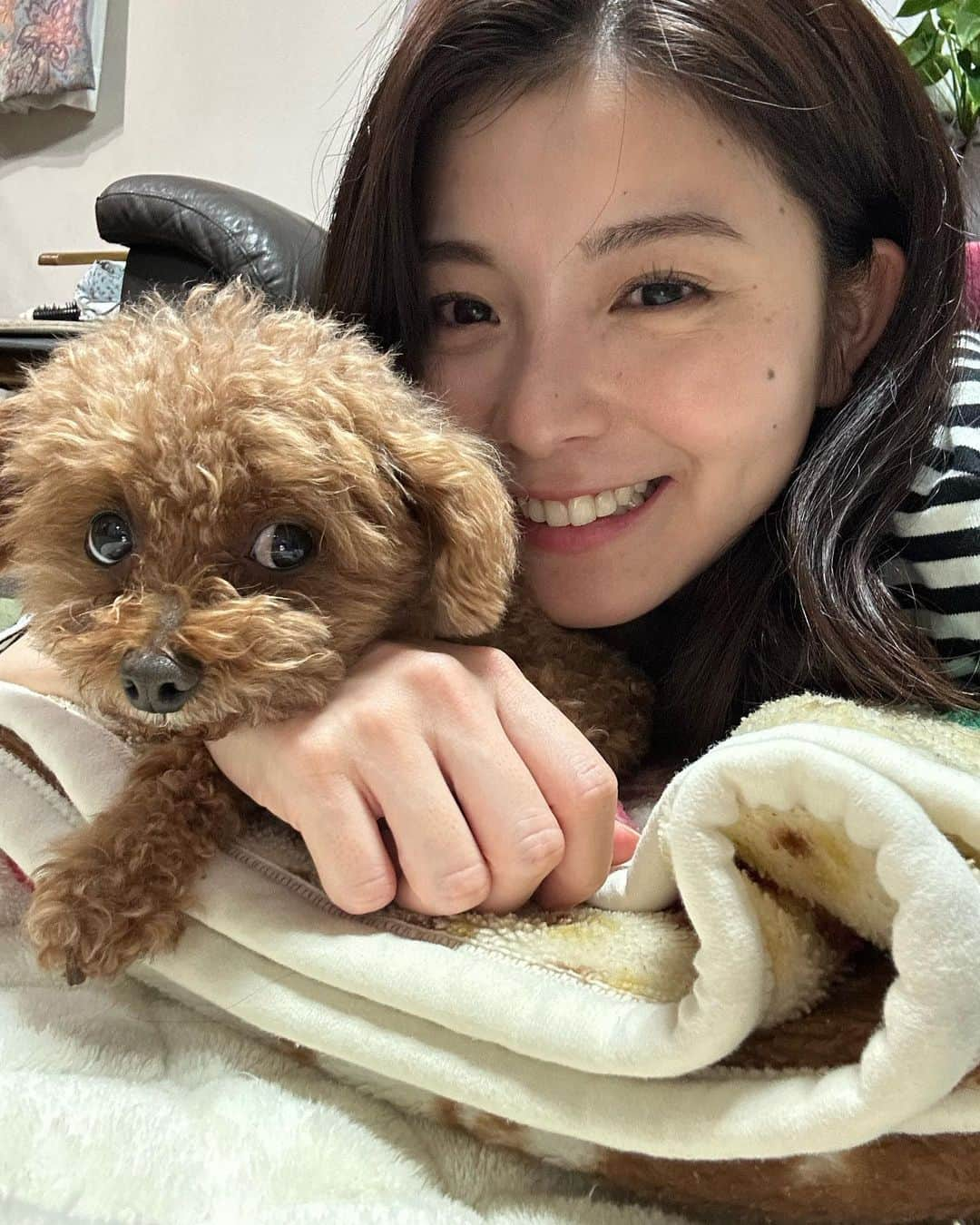 住本結花さんのインスタグラム写真 - (住本結花Instagram)「. きのう11月1日はワンワンワンの語呂合わせで犬の日です！ ここぞとばかりに愛犬との写真を載せておきます 公太郎くんです🐶かわいいね 私のことは特にペロペロよく舐めてきます .  #岩手県　#岩手　#岩手めんこいテレビ　#めんこいテレビ　#アナウンサー　#住本結花　#Iwate 　#犬　#ペット　#ぺっと #ぺっとすたぐらむ #お散歩　#散歩　#犬の散歩　#犬の日　#ワンワンワンの日」11月2日 20時28分 - yuka_sumimoto_mit