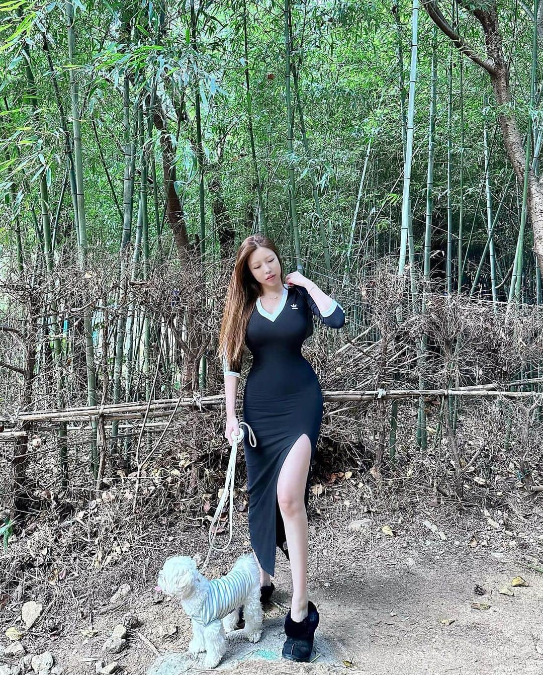 Choi Somiのインスタグラム：「⠀⠀⠀⠀ #글랜더 #glander  반려동물을 키운다는 건 한 인생을 끝까지 책임지는 것」