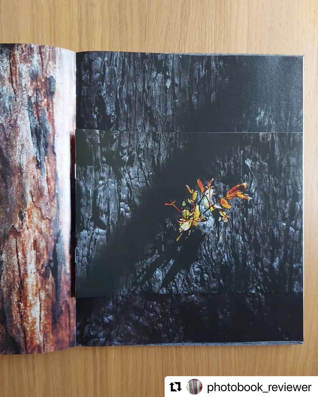 柏田テツヲさんのインスタグラム写真 - (柏田テツヲInstagram)「#Repost @photobook_reviewer with @use.repost ・・・ Into the Gray by Tetsuo Kashiwada (@tetsuokashiwada) - First edition of 400 copies, signed and numbered - Self published - #photobook #photobooklovers #photography #books #publishers #artists #art #bookreview #monograph #book #bookpost #tetsuokasiwada #selfpublished #selfpublish #photobookcollectors  #bookcollection #reviewer #photographers #ig_books #bookstagram #booklover #booksofinstagram #bookpost」11月2日 20時39分 - tetsuokashiwada