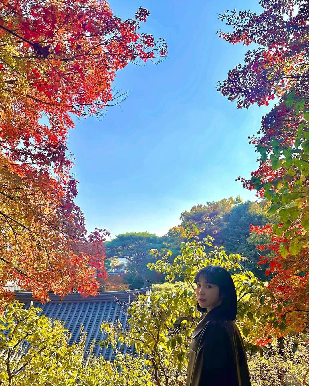 チョア さんのインスタグラム写真 - (チョア Instagram)「#석파정 가까운 종로구에 이런 예쁜곳이🍁🍂 흥선대원군이 별장으로 사용한곳이래요 고즈넉한 가을정취에 취해 찰칵찰칵,, 다음주가 더 예쁠것 같으니 꼭 가보시길🤎」11月2日 20時46分 - minjinchoa