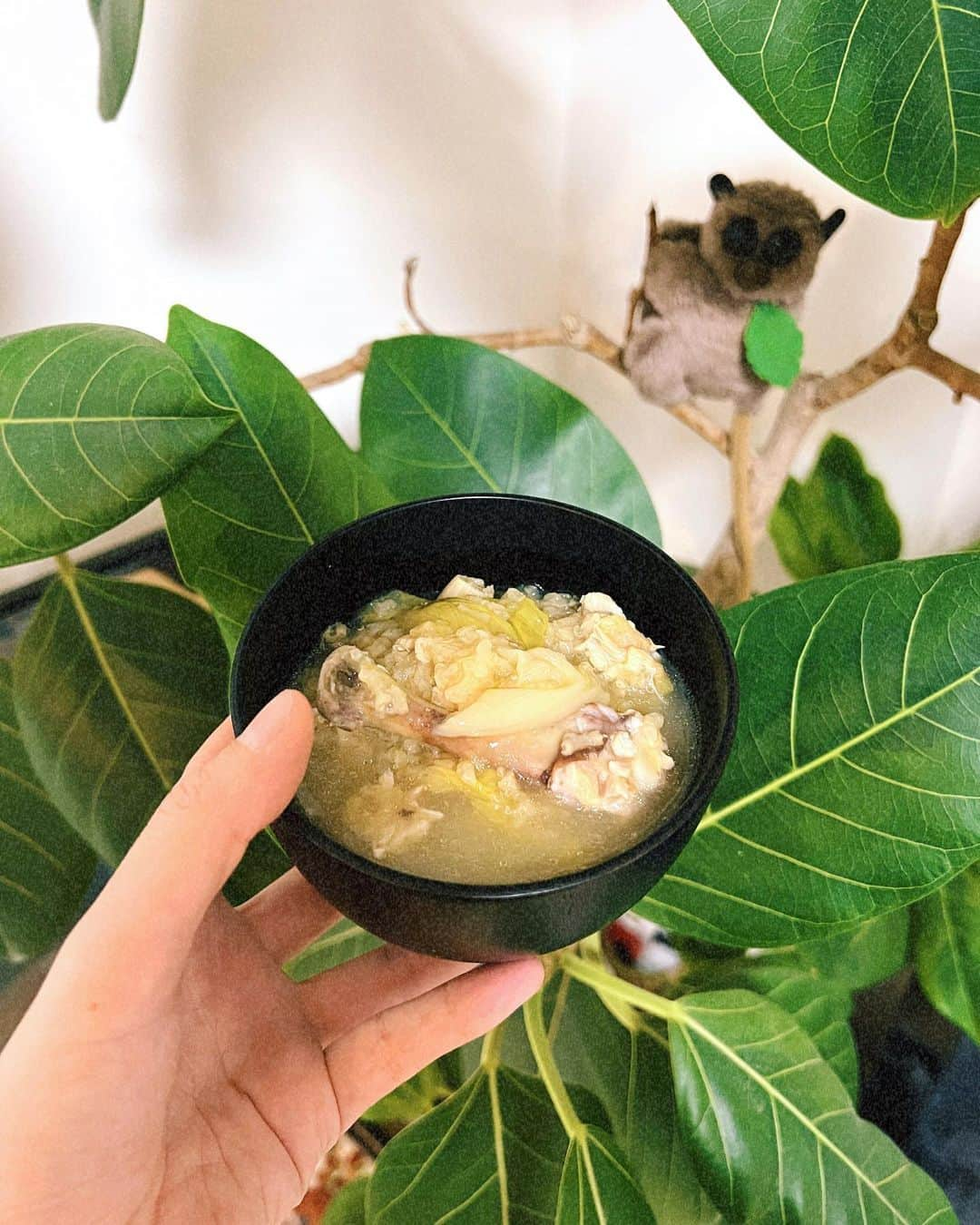 イアリサのインスタグラム：「作ってきてん！ って渡されたのが まさかの薬膳粥🥹嬉しいぃぃ  愛の詰まった優しい漢方粥 五臓六腑に染み渡るぅぅぅ... 毎日食べたい。  ご馳走様♡ いつもいつもありがとう♡ 君がいるからわたしはいれる♡」