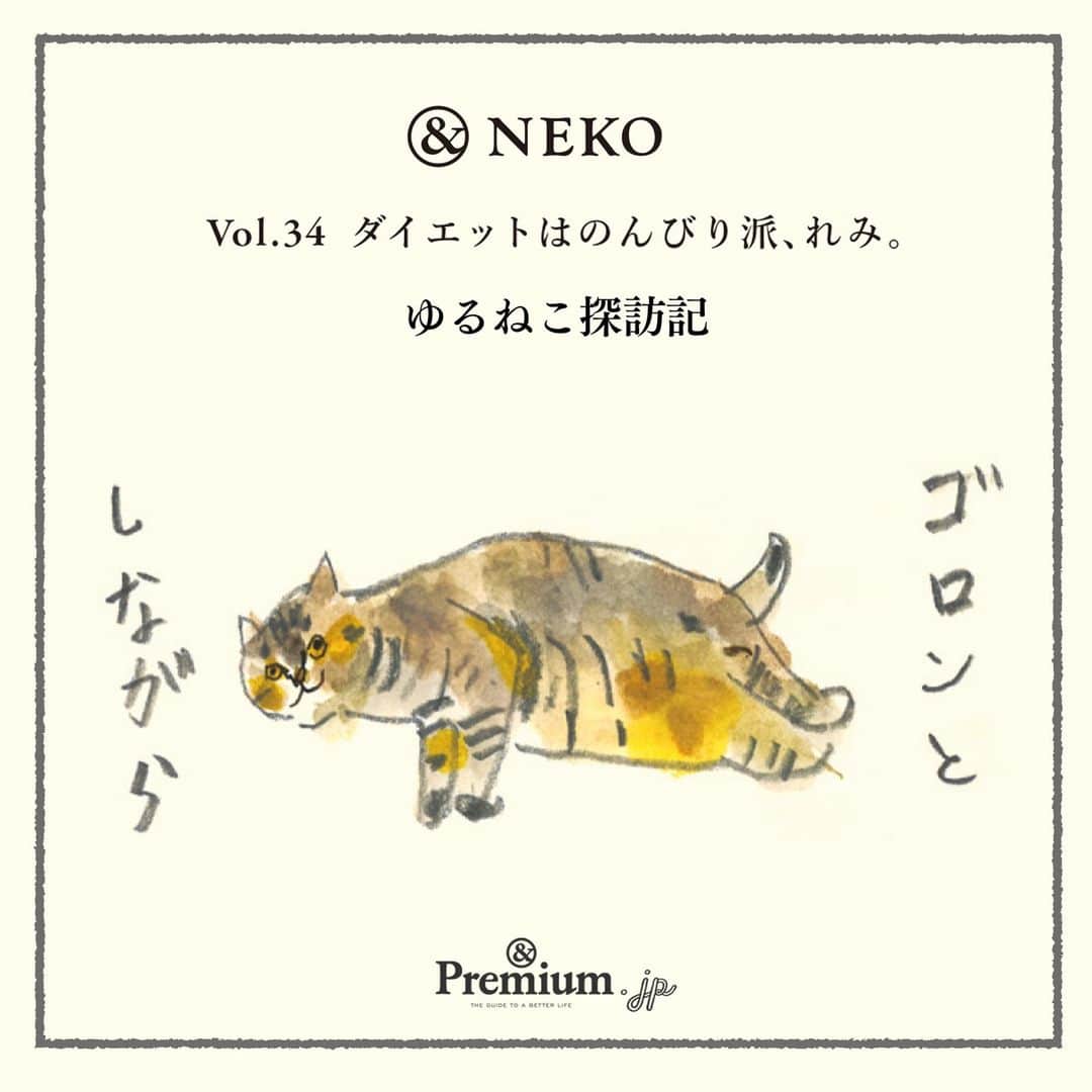 &Premium [&Premium] magazine.のインスタグラム