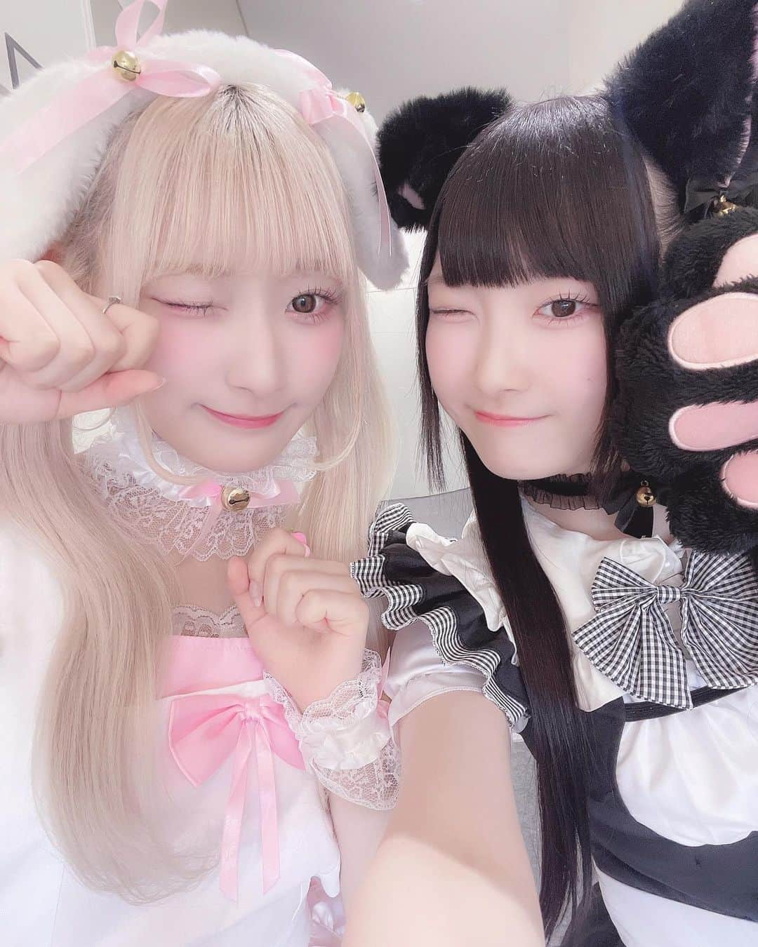 櫻井ももさんのインスタグラム写真 - (櫻井ももInstagram)「‪❤︎︎  ꒰  @saito_kiara_ ꒱ きあらせんぱい( *´ `)🫶🏻  たまたま2人ともどうぶつメイドさんだったの🐇🐈‍⬛🎀 お互い、会った瞬間びっくりしすぎて、 え.ᐟ‪‪‪.ᐟ‪‪‪って10回くらいハモって大爆笑しました🤣❤️‍🔥   #きゅあらもーど  #イコラブ さん  #齋藤樹愛羅 さん  #ノイミー #きゅんかわ」11月2日 21時02分 - sakurai_momo_