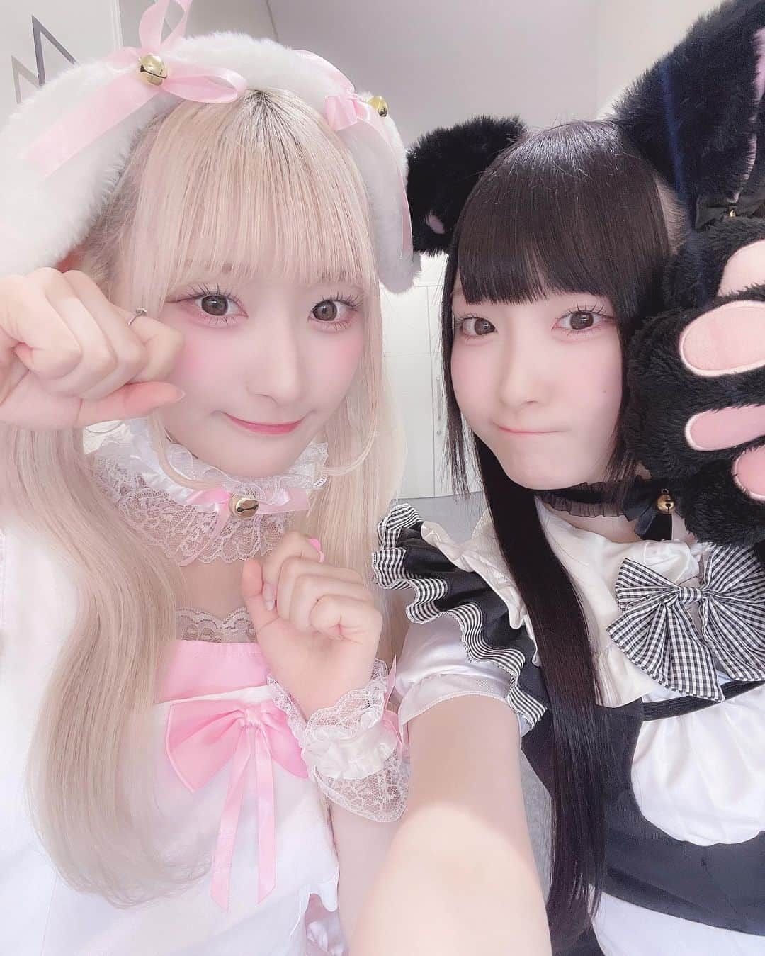 櫻井ももさんのインスタグラム写真 - (櫻井ももInstagram)「‪❤︎︎  ꒰  @saito_kiara_ ꒱ きあらせんぱい( *´ `)🫶🏻  たまたま2人ともどうぶつメイドさんだったの🐇🐈‍⬛🎀 お互い、会った瞬間びっくりしすぎて、 え.ᐟ‪‪‪.ᐟ‪‪‪って10回くらいハモって大爆笑しました🤣❤️‍🔥   #きゅあらもーど  #イコラブ さん  #齋藤樹愛羅 さん  #ノイミー #きゅんかわ」11月2日 21時02分 - sakurai_momo_