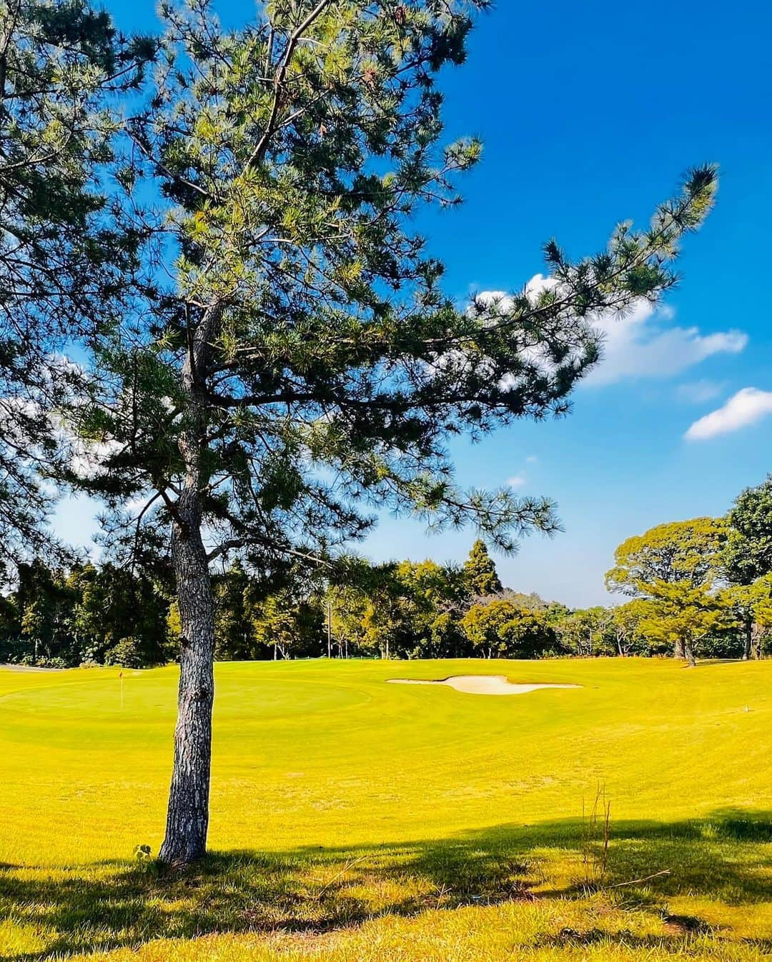 宇水遥佳さんのインスタグラム写真 - (宇水遥佳Instagram)「. 昨日はゴルフ誌GEWの撮影でした⛳️ BOYA株式会社様の距離計をラウンドしながら 試させていただきの撮影📷 今回R1とR2を試させていただきましたが 女性ゴルファーにはR2がおすすめ⭐️ コンパクトで軽く、計測スピードがすごく速い👏 ノンストレスでパパッと計測でき精度もとても高い☺️ レザーケースとマーカーもついてくるのでお得感も ありとてもよかったです🉐 誌面とYouTubeに出るのでぜひみてくださいね✨ . ウェアは @lenan_golf のものを👕💓 スウェード調のセットアップでお色味も可愛い〜💓 冬にかけてたくさん着よう🥰 . . #距離計 #ゴルフ距離計 #秋ゴルフ #秋ゴルフコーデ # #ゴルフ女子 #ゴルフコーデ」11月2日 21時11分 - haruka._.usui