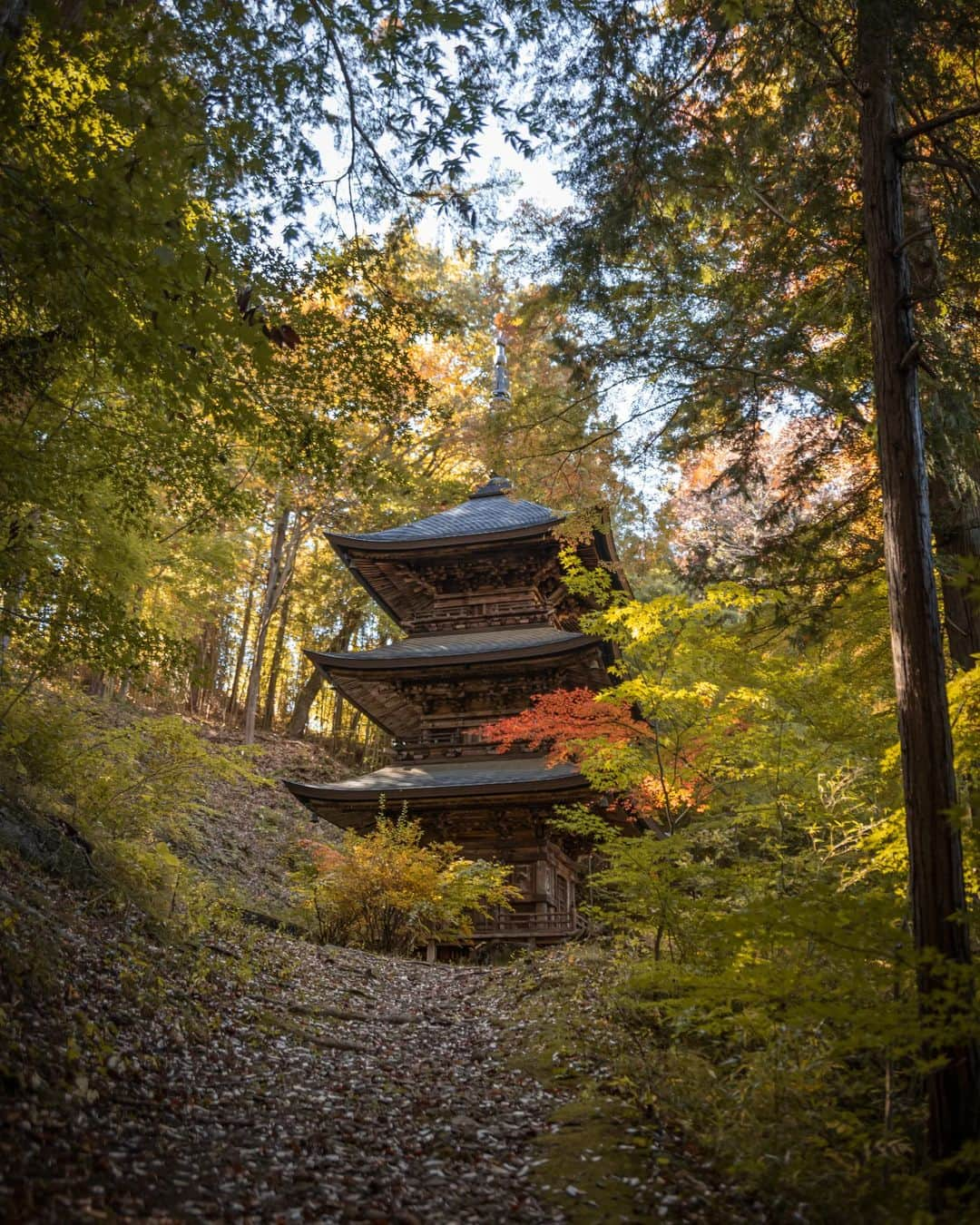 s_shoheyさんのインスタグラム写真 - (s_shoheyInstagram)「. 紅葉写真続きます。 .」11月2日 21時40分 - sshohey