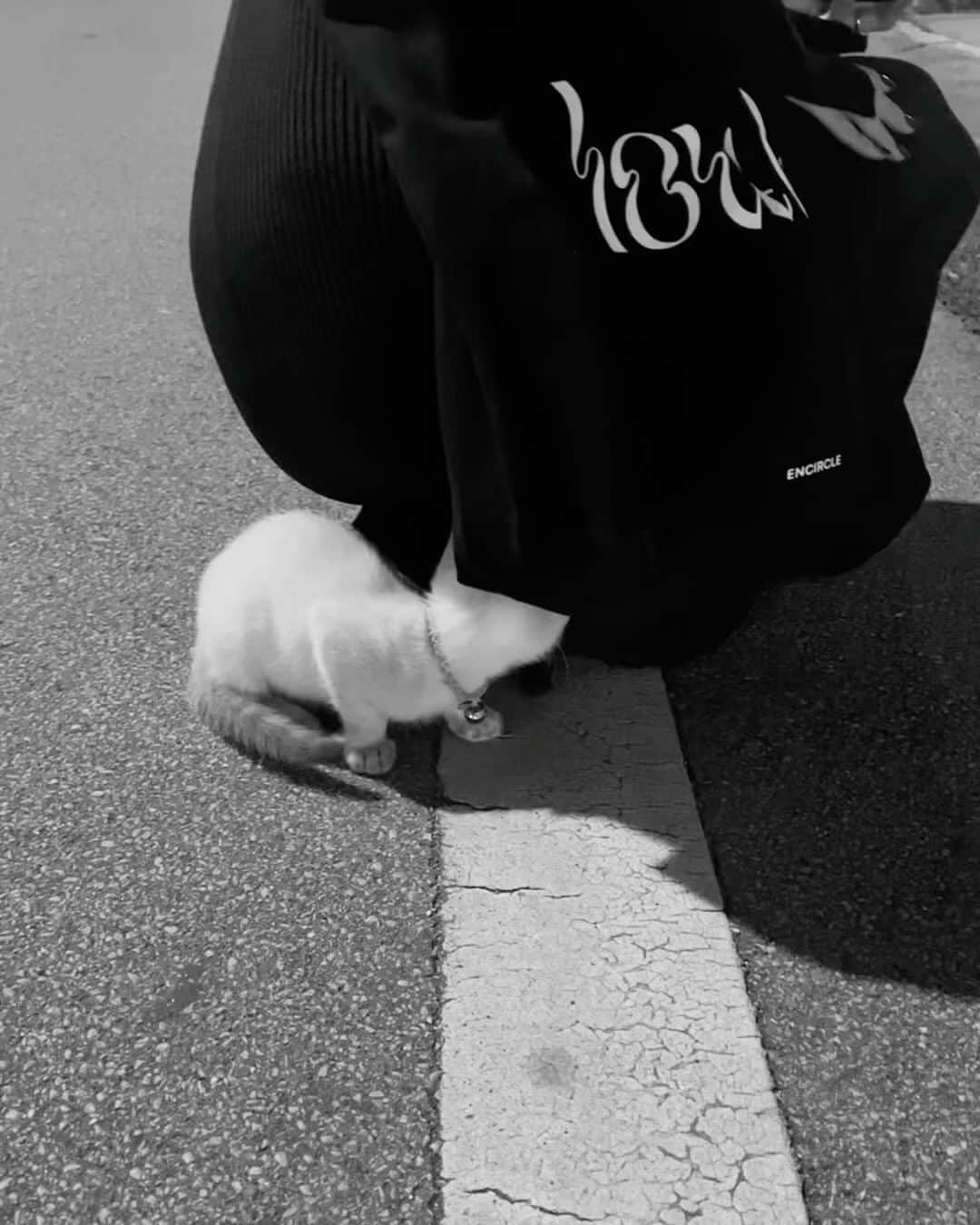 近藤沙良のインスタグラム：「にゃんずと思い出🐈📷✨」