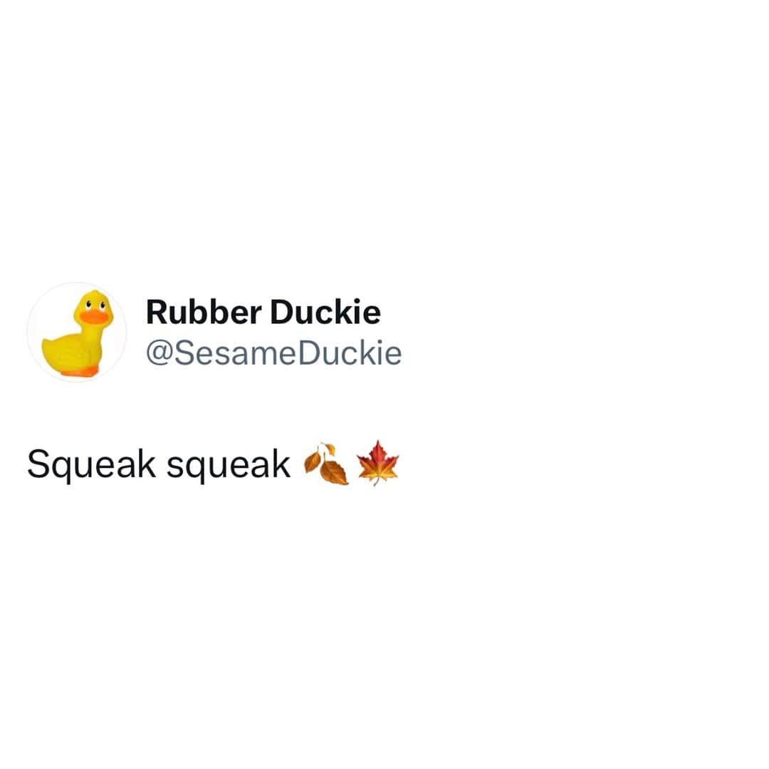セサミストリートのインスタグラム：「Winter, spring, summer, or fall, all you have to do is call.  And Rubber Duckie will be there, yes, Rubber Duckie will! 🍂💛」