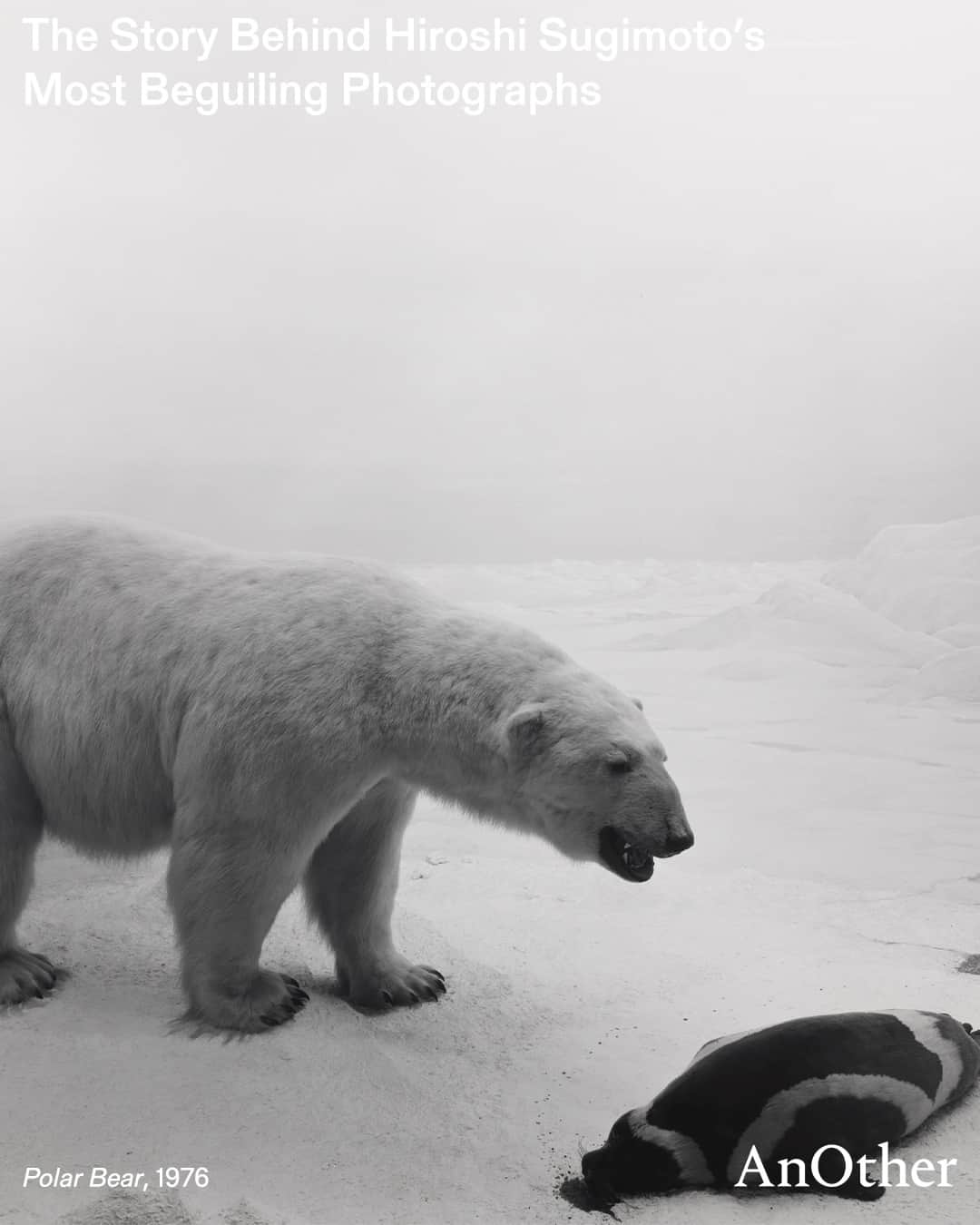 AnOther Magazineのインスタグラム：「“My camera is like a time machine” confessed Hiroshi Sugimoto, the Japanese photographer, who, since the 1970s, has been radically rethinking and expanding the medium 🖤⁠ ⁠ For the first time in Britain, a major survey of the renowned Tokyo-born photographer is open at London’s @hayward.gallery. Here, curator @rugoffralph talks @lydunishka through five of Hiroshi Sugimoto’s photos, revealing his fixation with humanity’s precarious place in history. ⁠ ⁠ Read the full stories behind the images at the link in bio 📲⁠ ⁠ 📸 Time Machine by #HiroshiSugimoto⁠ 1. Polar Bear, 1976⁠ 3. World Trade Centre, 1997⁠ 5. Goshen, Indiana, 1980⁠ 7. Darcy Bussell, 1999⁠ 9. Lake Superior, Cascade River, 1995」